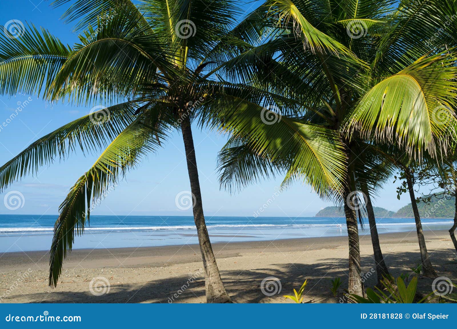 Idilic beach stock photo. Image of beachfront, palm, jaco - 28181828