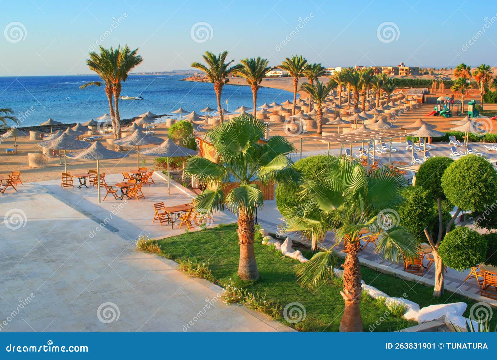 idylic beach with palms and sun umbrelas, red sea, egypt