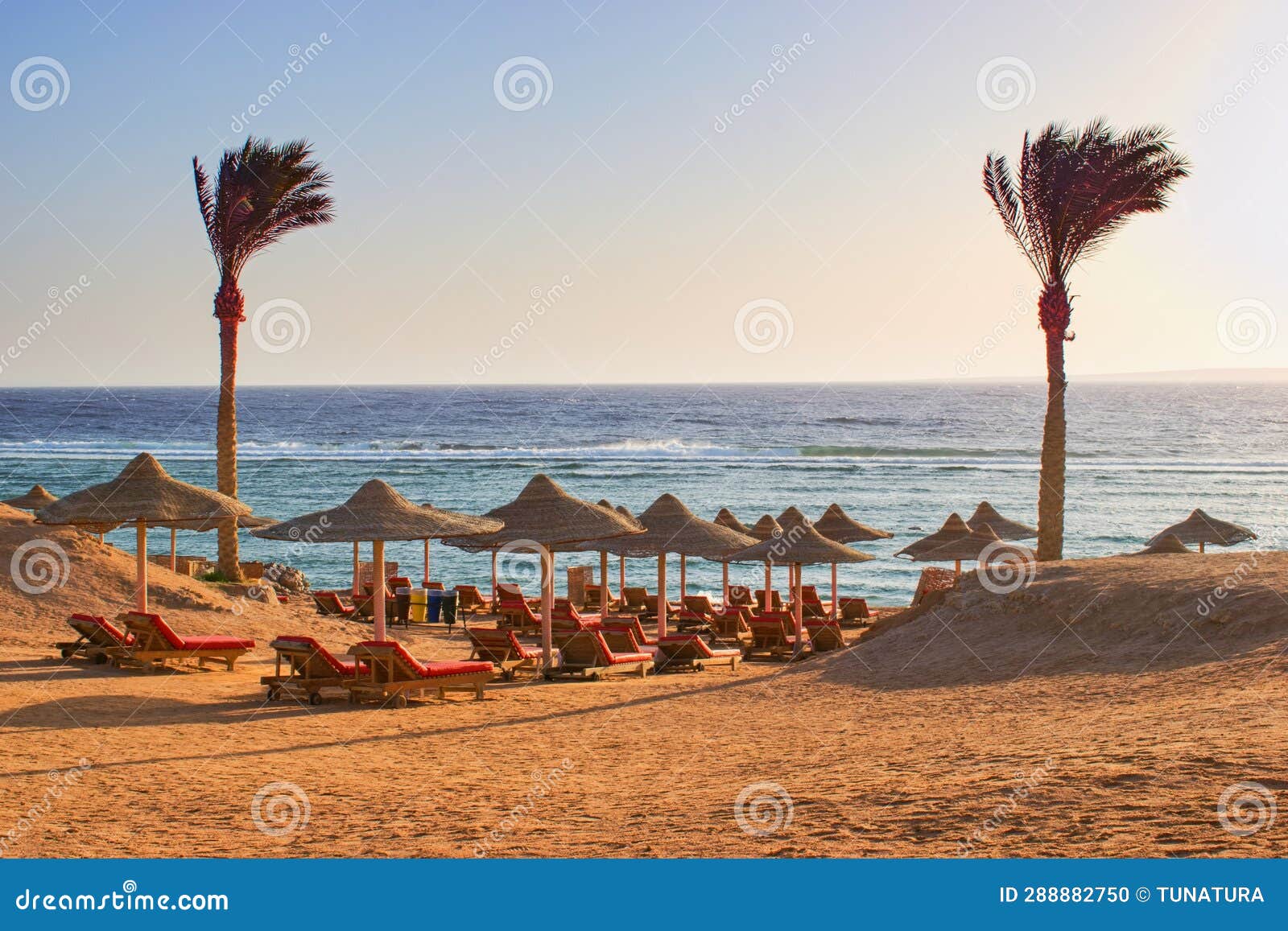 idylic beach with palms and sun umbrelas, red sea, egypt