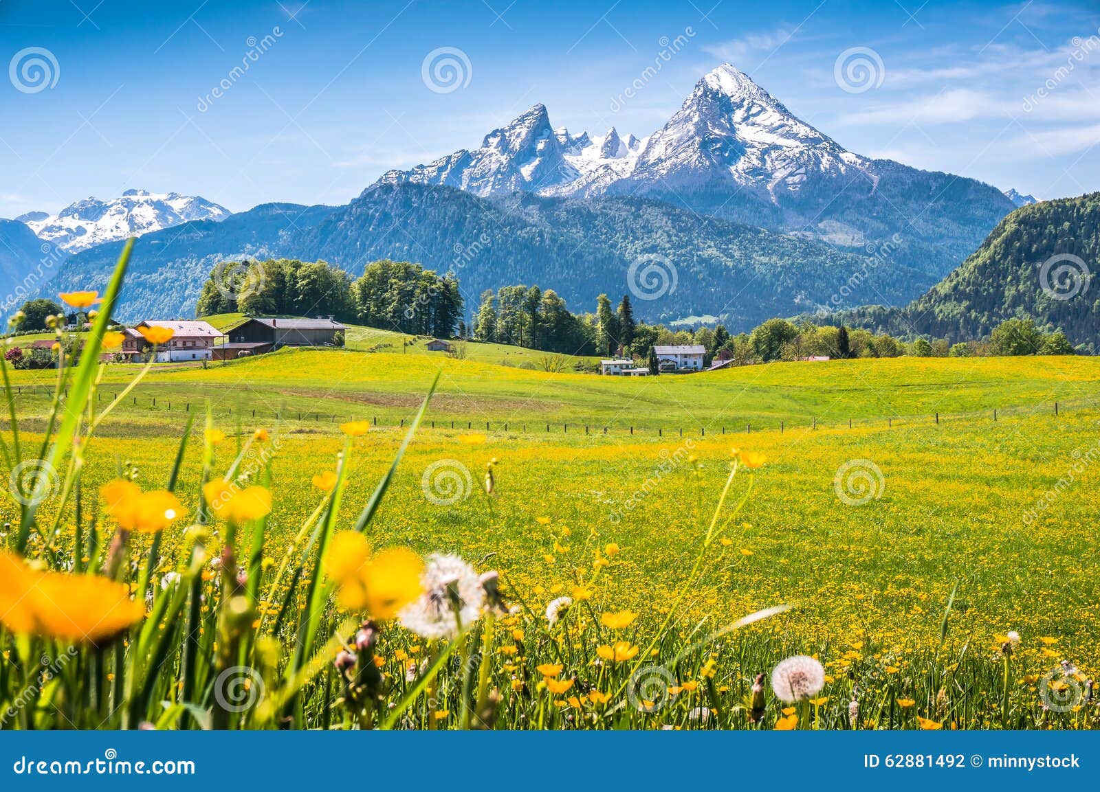 idyllic alpine landscape with green meadows, farmhouses and snowcapped mountain tops