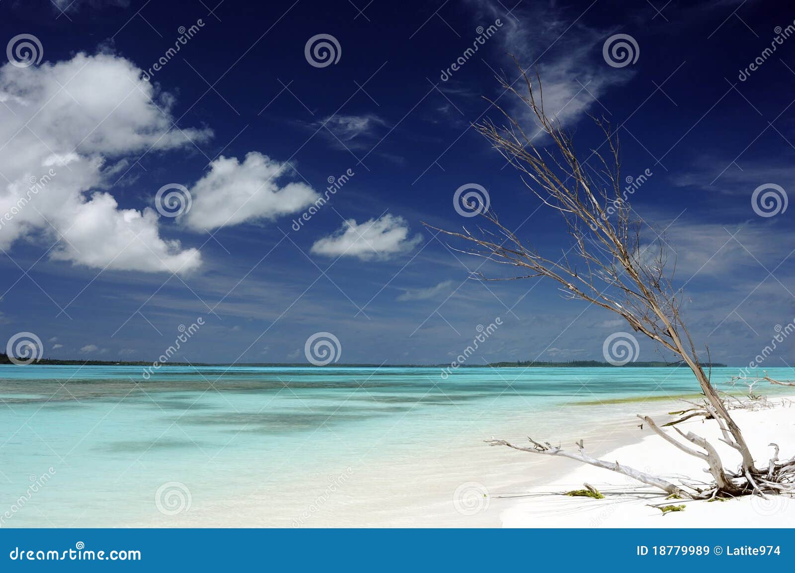 idyllic beach in new caledonia