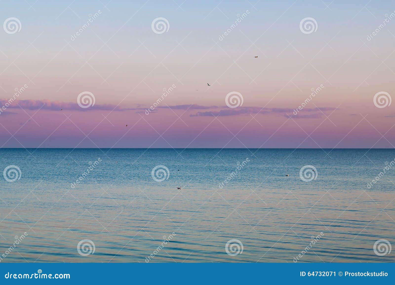 Idyllic Calm Sea Horizon Landscape with Seagulls Background Stock ...