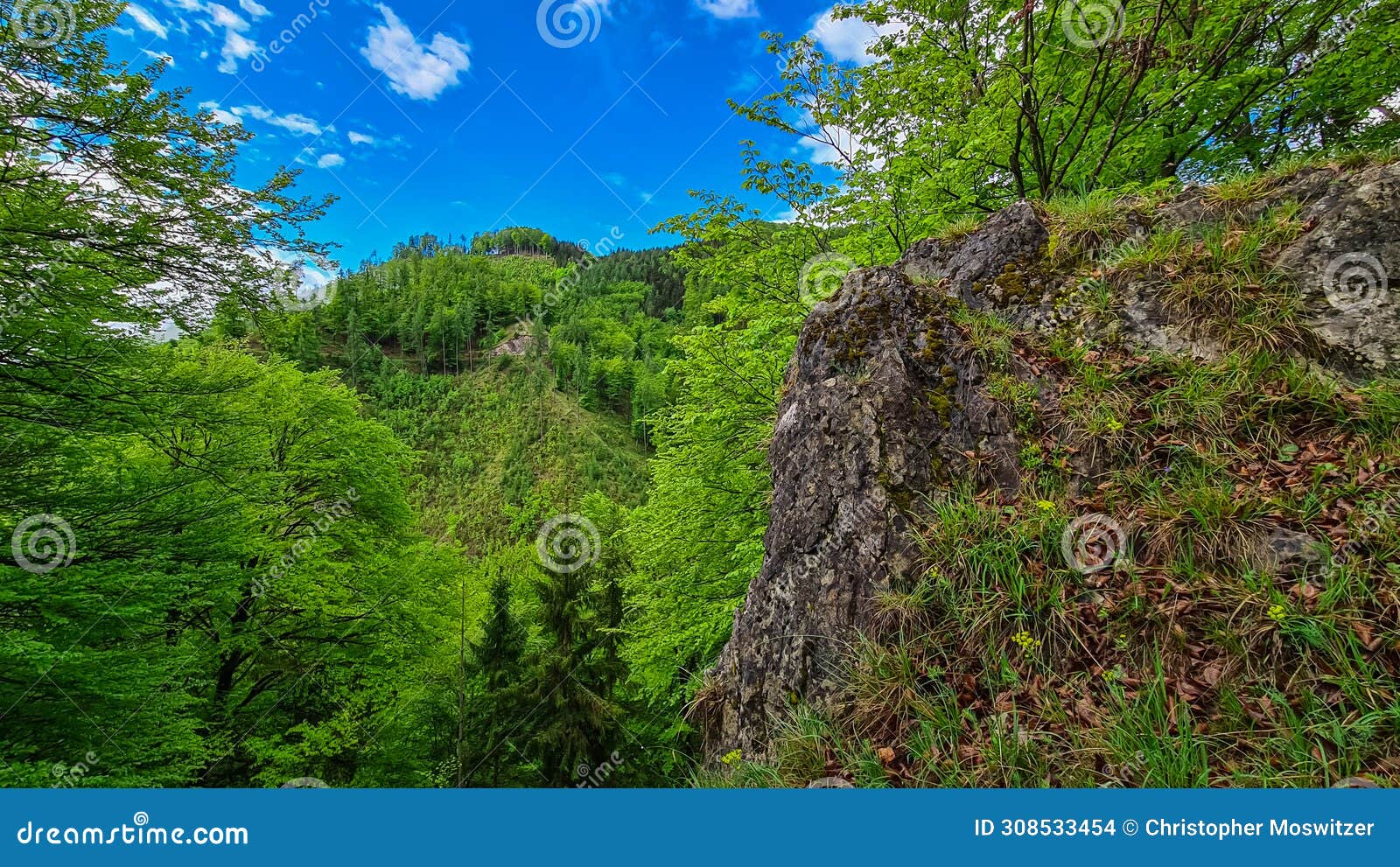 rein - idyllic hiking trail through lush green forest in grazer bergland, prealps east of the mur, styria, austria