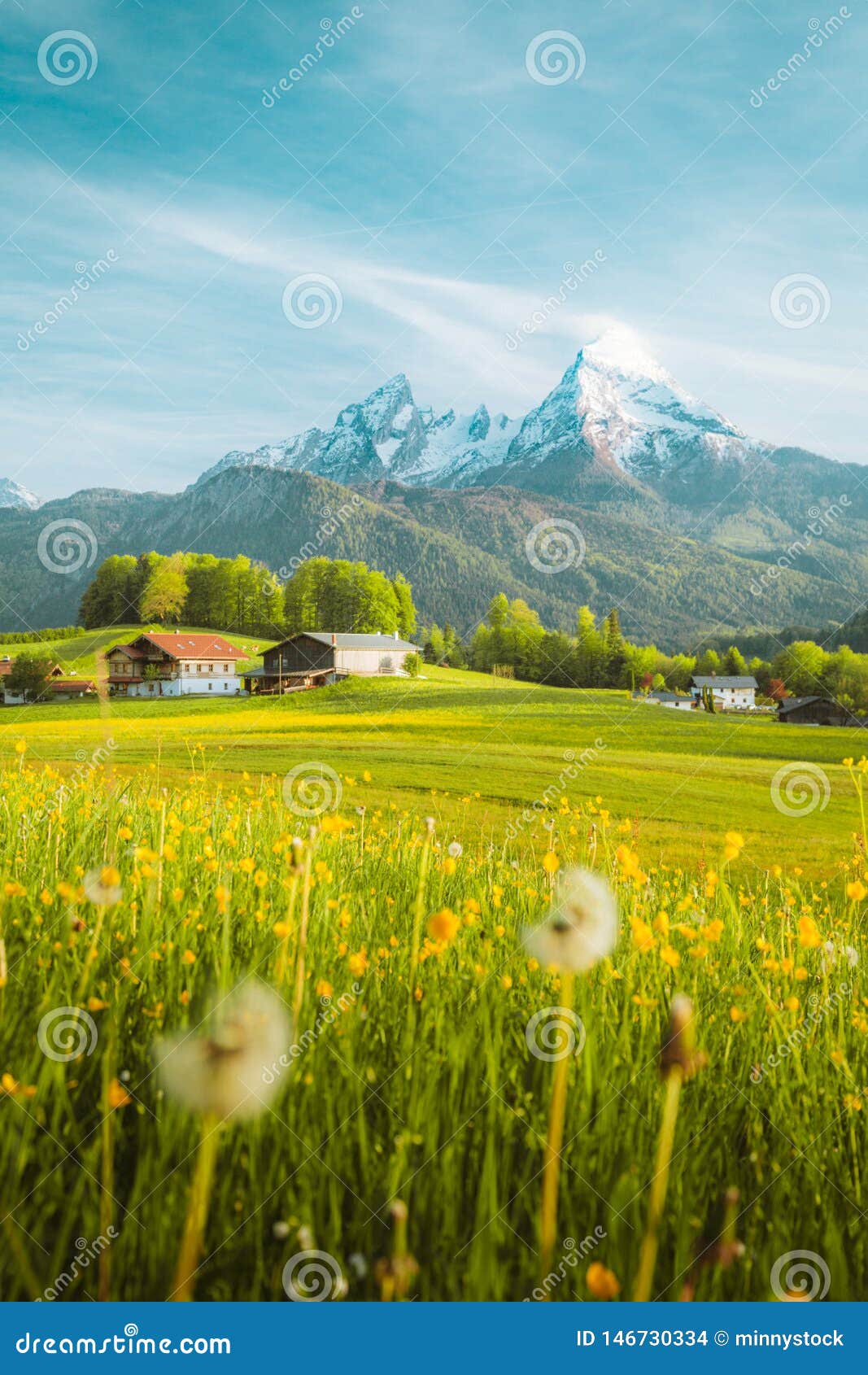 Idyllic Landscape In The Alps With Blooming Meadows In Springtime Stock