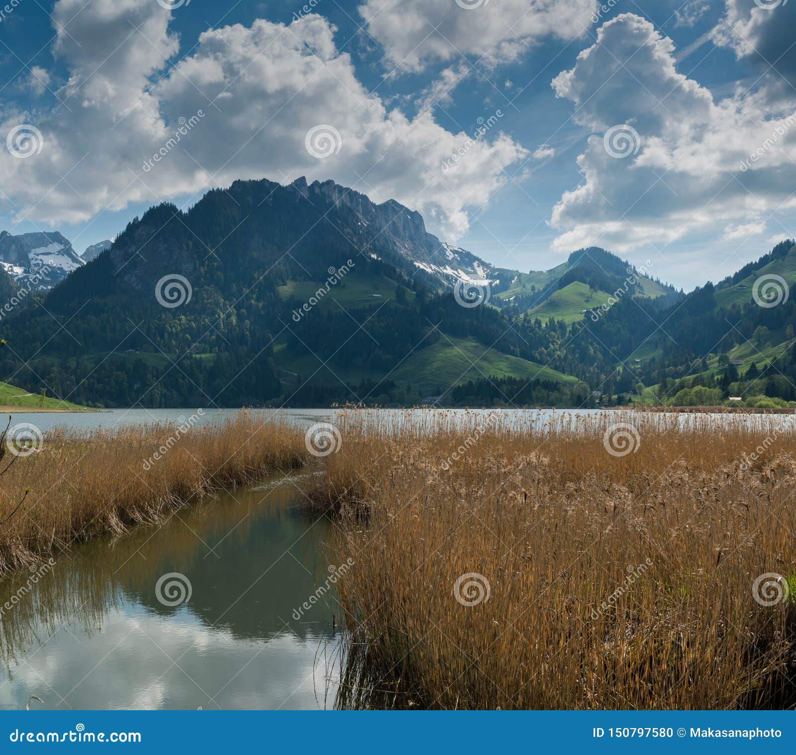 Idyllic Mountain Landscape In The Swiss Alps With A Lake And Golden