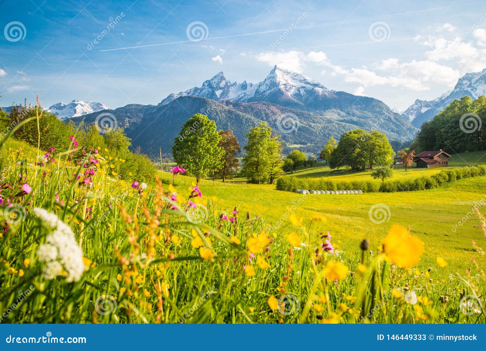 Idyllic Mountain Scenery In The Alps With Blooming Meadows In