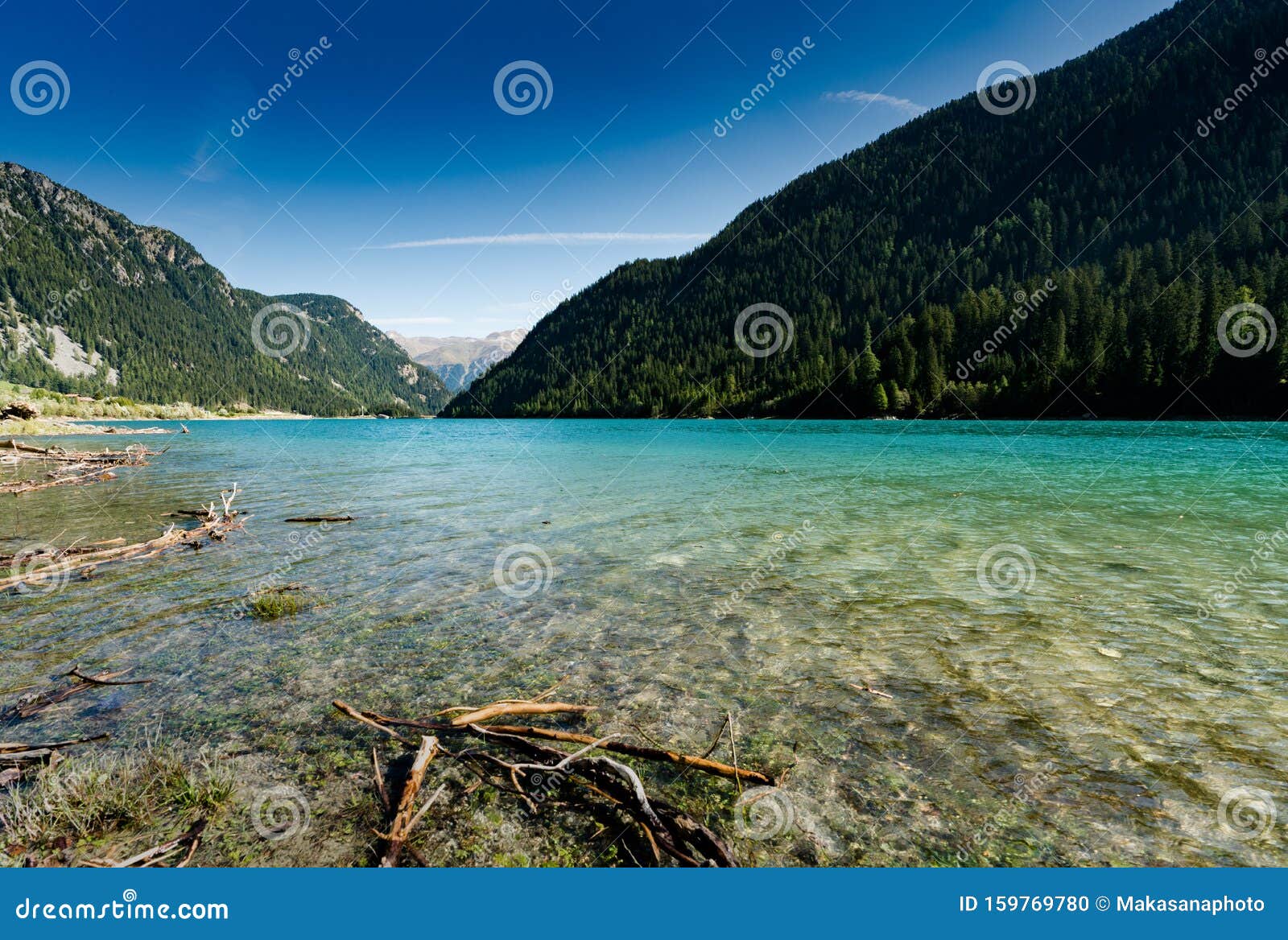 idyllic and picturesque turquoise mountain lake surrounded by green forest and mountain peaks in the swiss alps