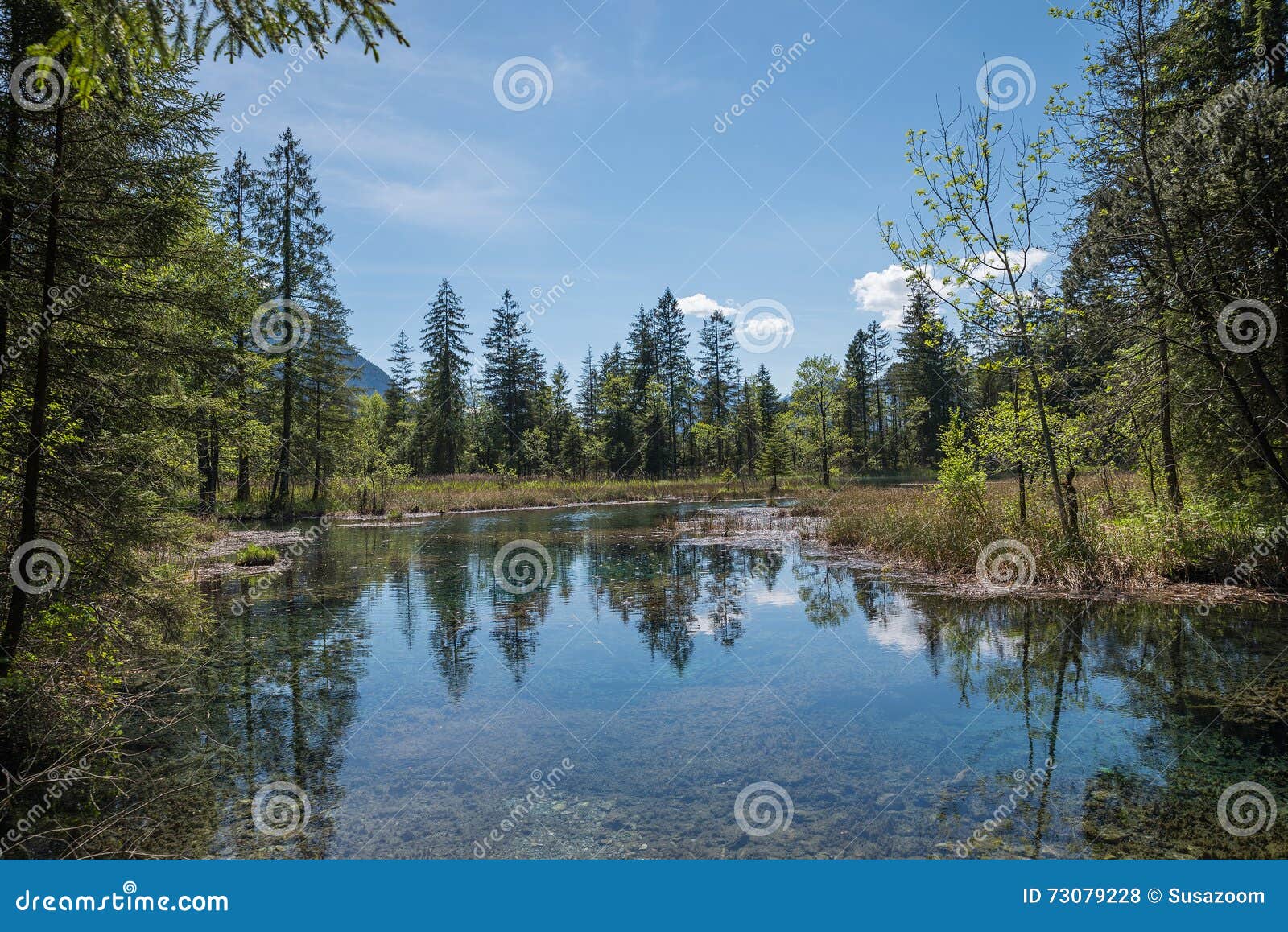 idyllic pond with water reflection - natural fount