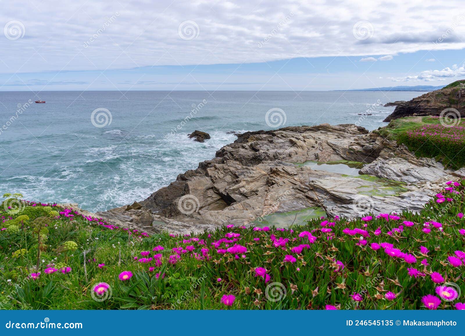 idyllic rocky cove with blossoming flowers on the coast of galicia with tidal pools in the foreground
