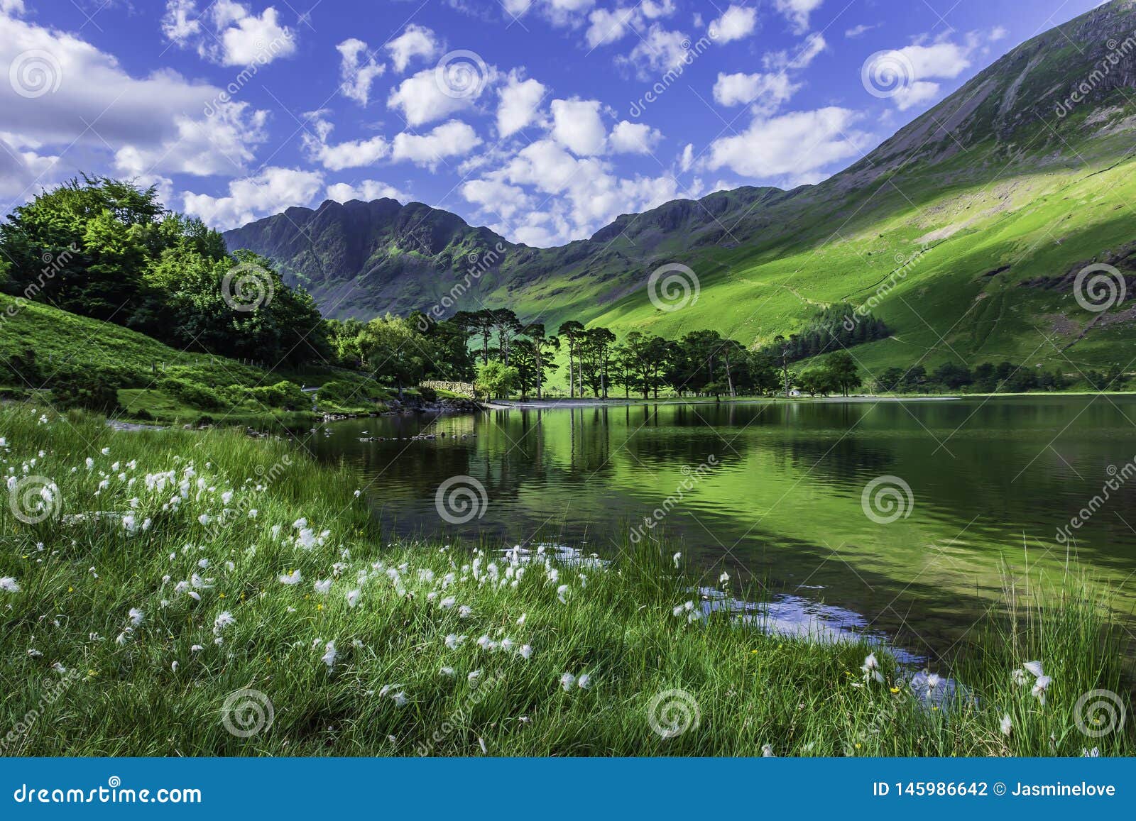 idyllic scenery of english lake district in springtime