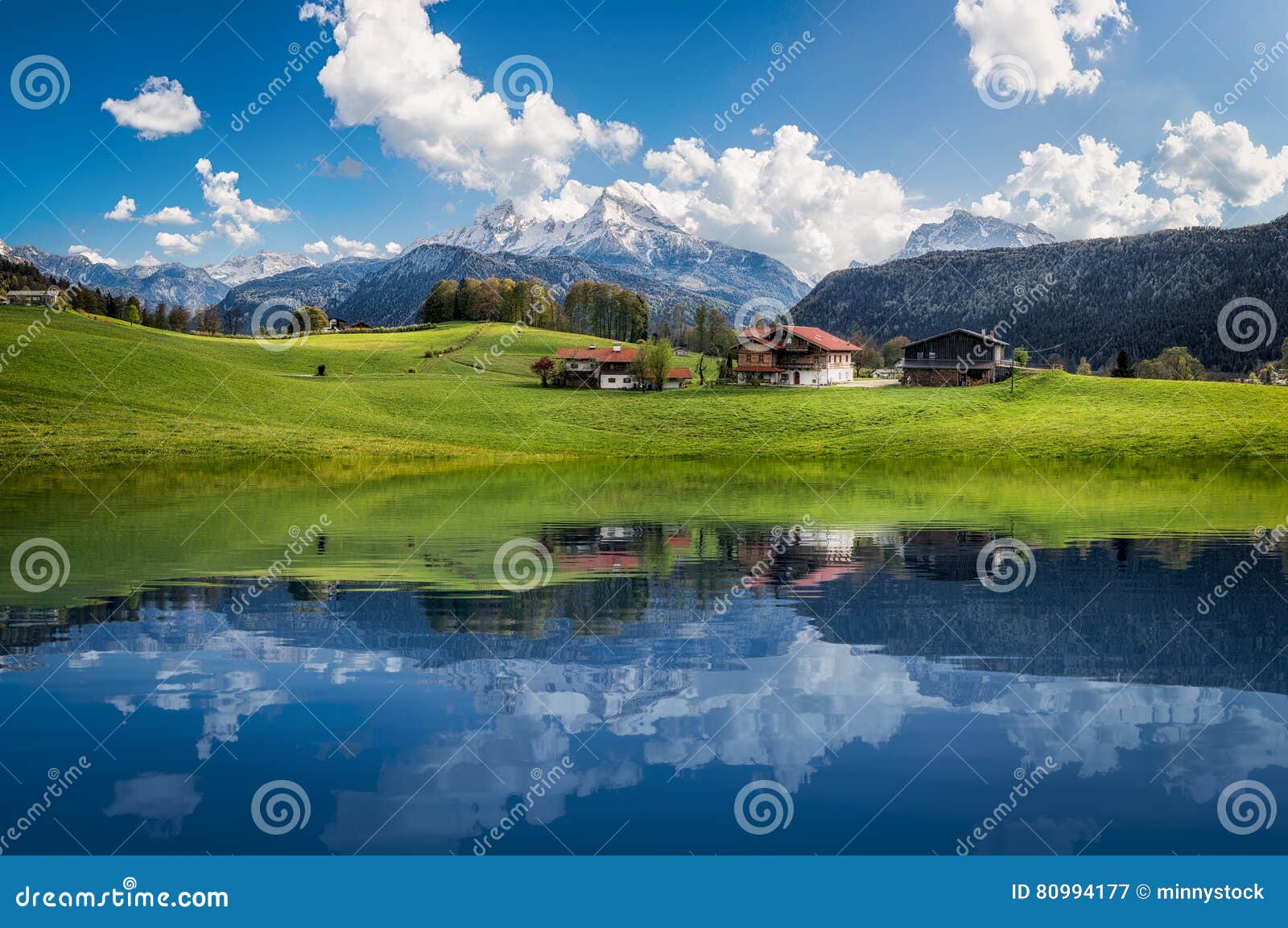 idyllic summer landscape with clear mountain lake in the alps