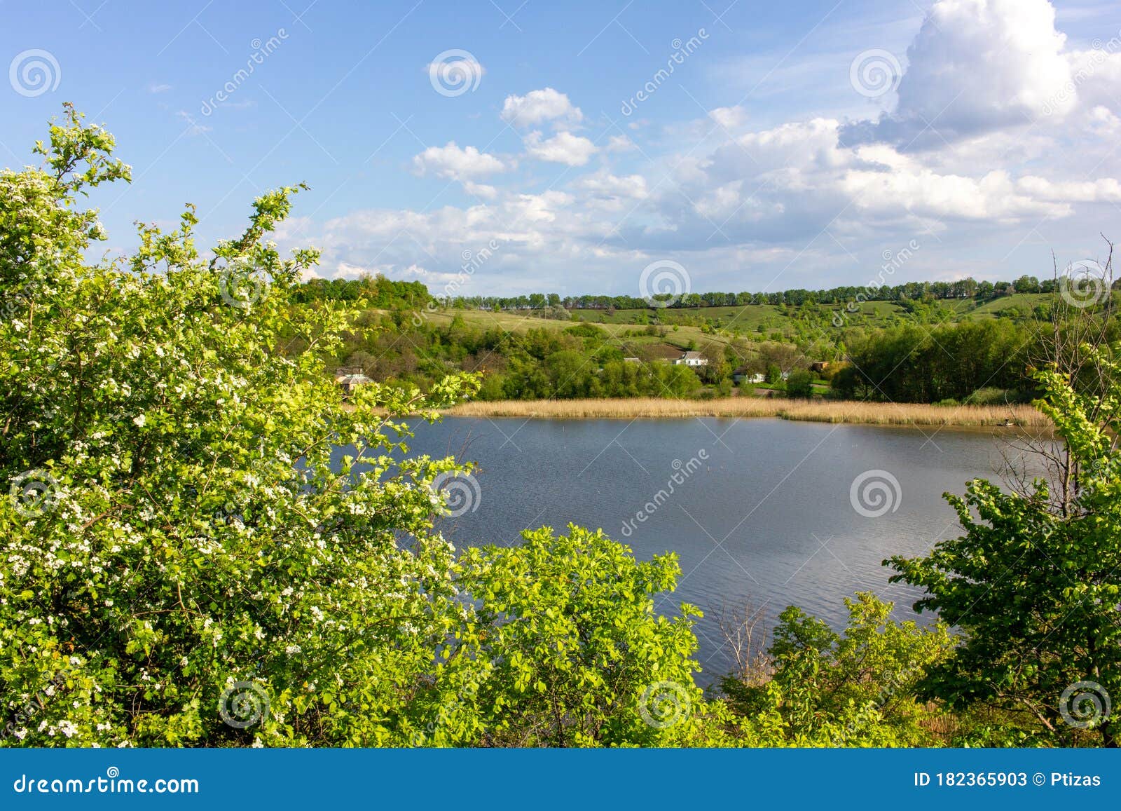 Idyllic Summer Landscape With River Hill Green Trees Blue Sky And