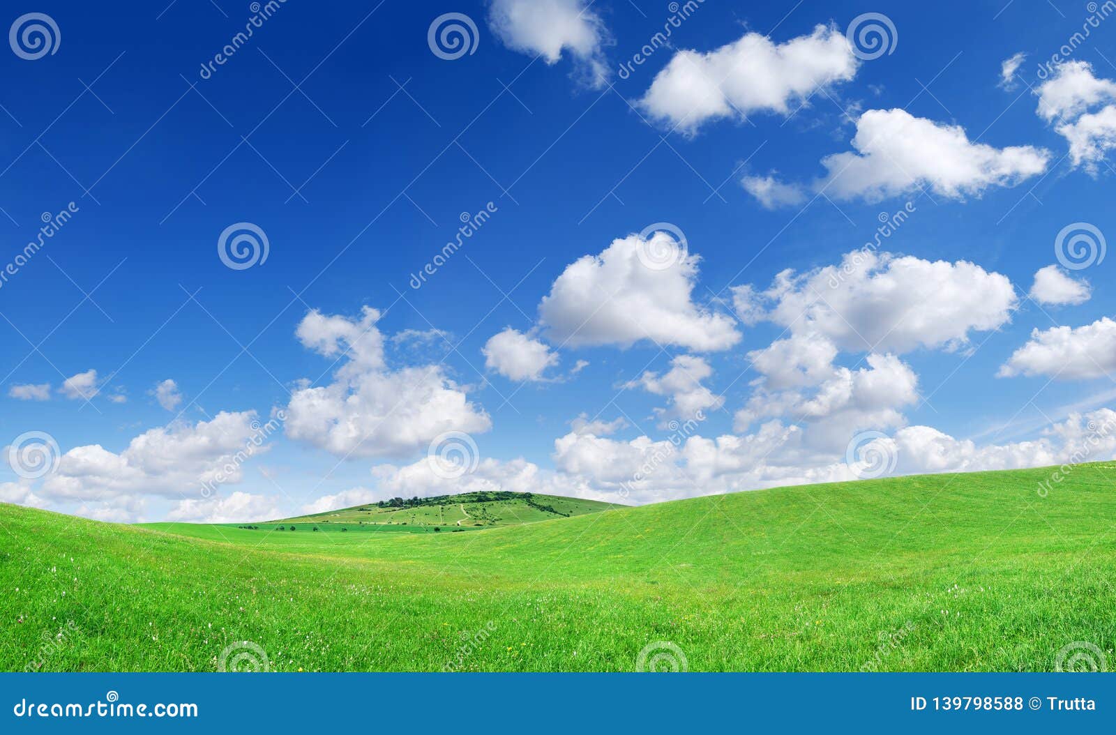 Idyllic View, Green Field and the Blue Sky with White Clouds Stock Photo -  Image of clouds, idyllic: 139798588