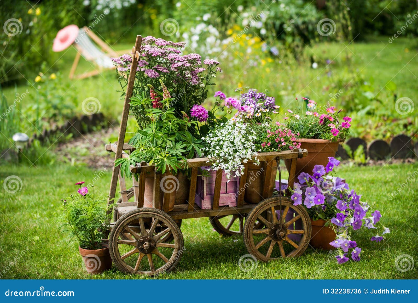 Idyllischer Garten stockfoto. Bild von pelargonie, pink