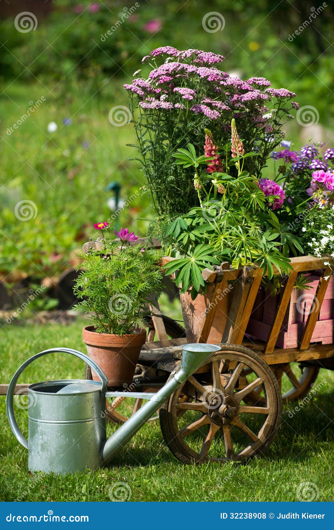 Idyllischer Garten stockfoto. Bild von pelargonie, gelb