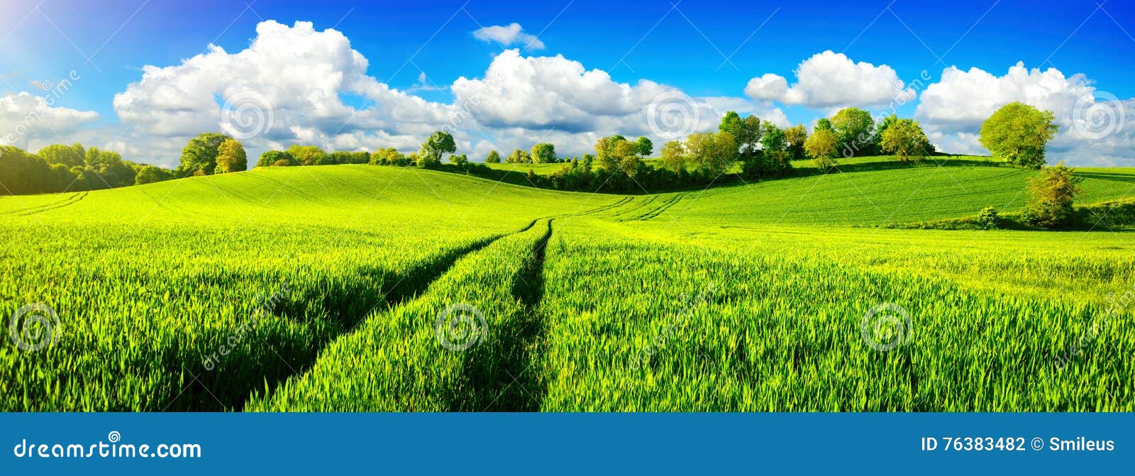 Idylliska gräsplanfält med vibrerande blå himmel