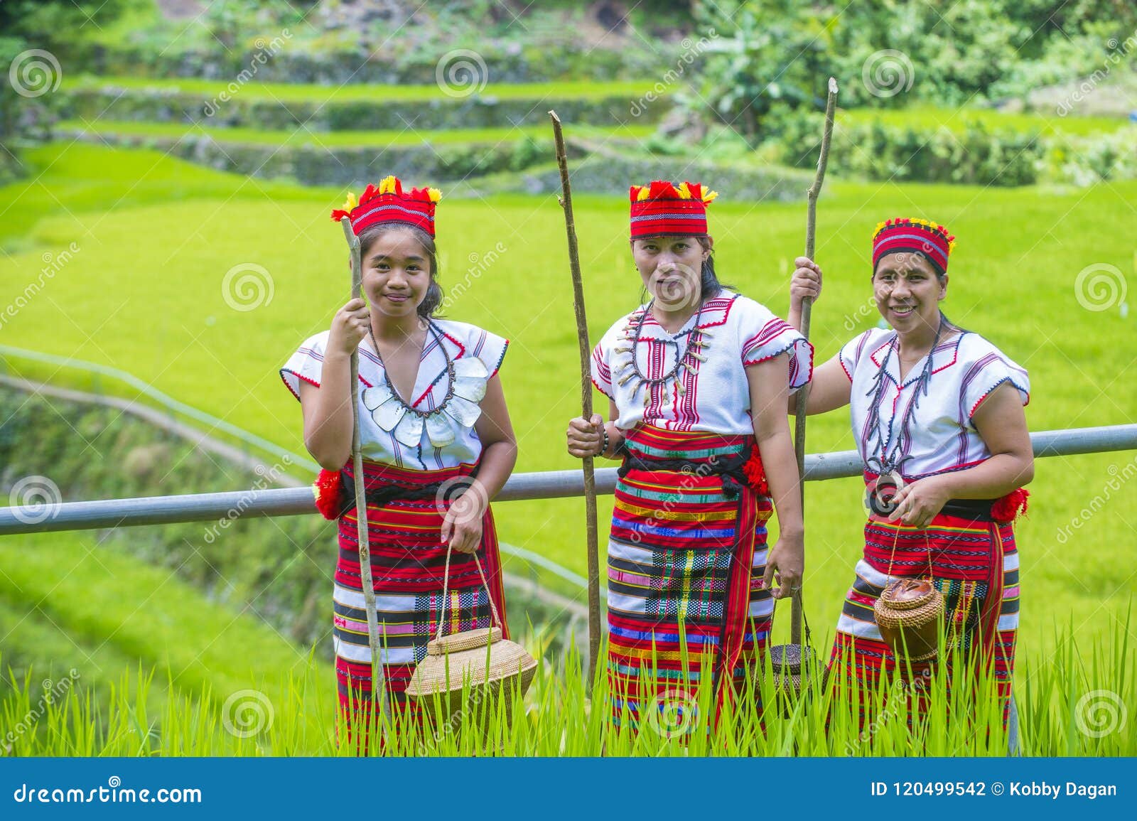 Ifugao Ethnic Minority in the Philippines Editorial Photography - Image ...