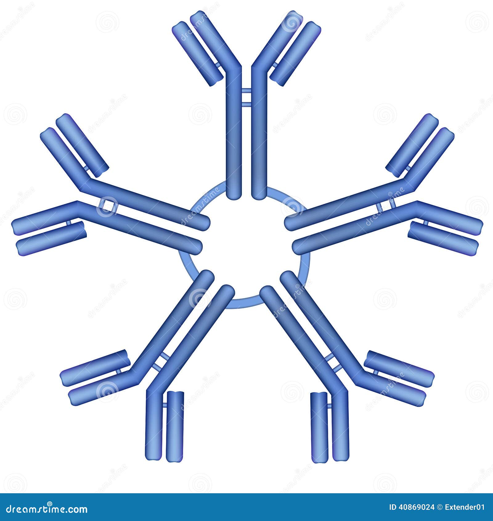 IgM Antibody Pentamer Molecule Stock Vector - Illustration of clone ...