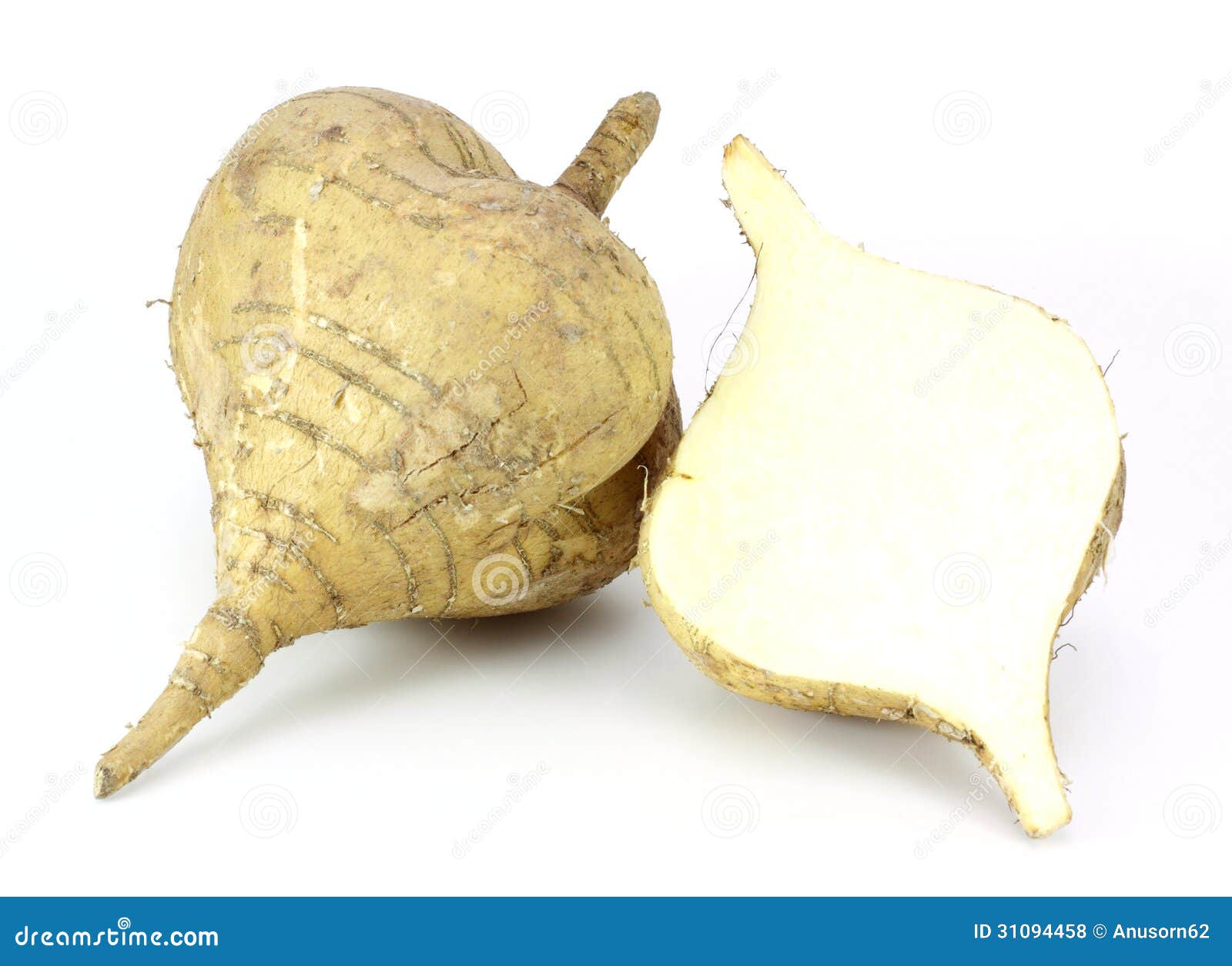 Igname de Jicama photo stock. Image du légume, simple 31094458