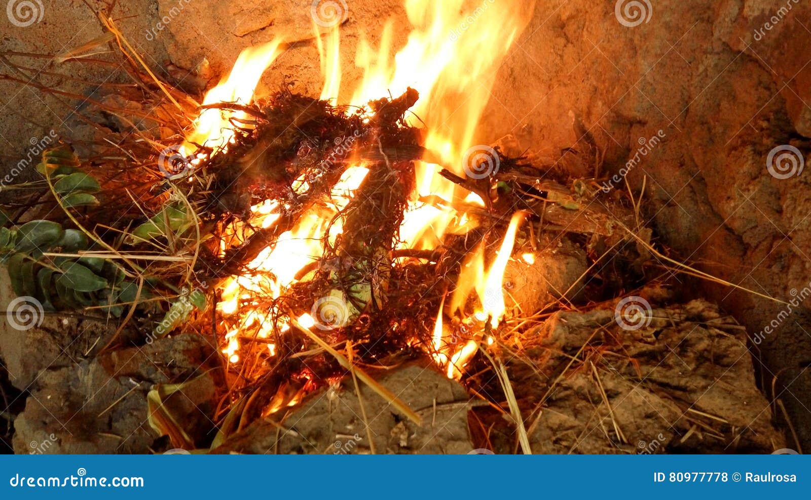 Igniting flames stock photo. Image of branches, warm 80977778