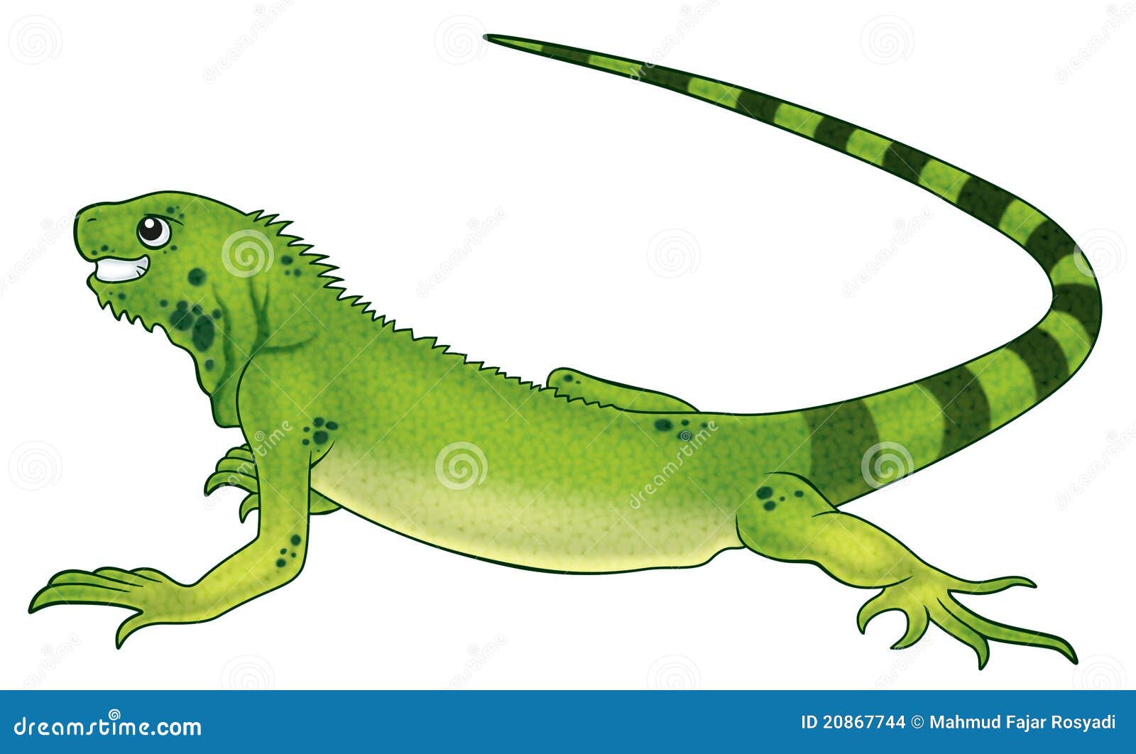 free clipart iguana - photo #38