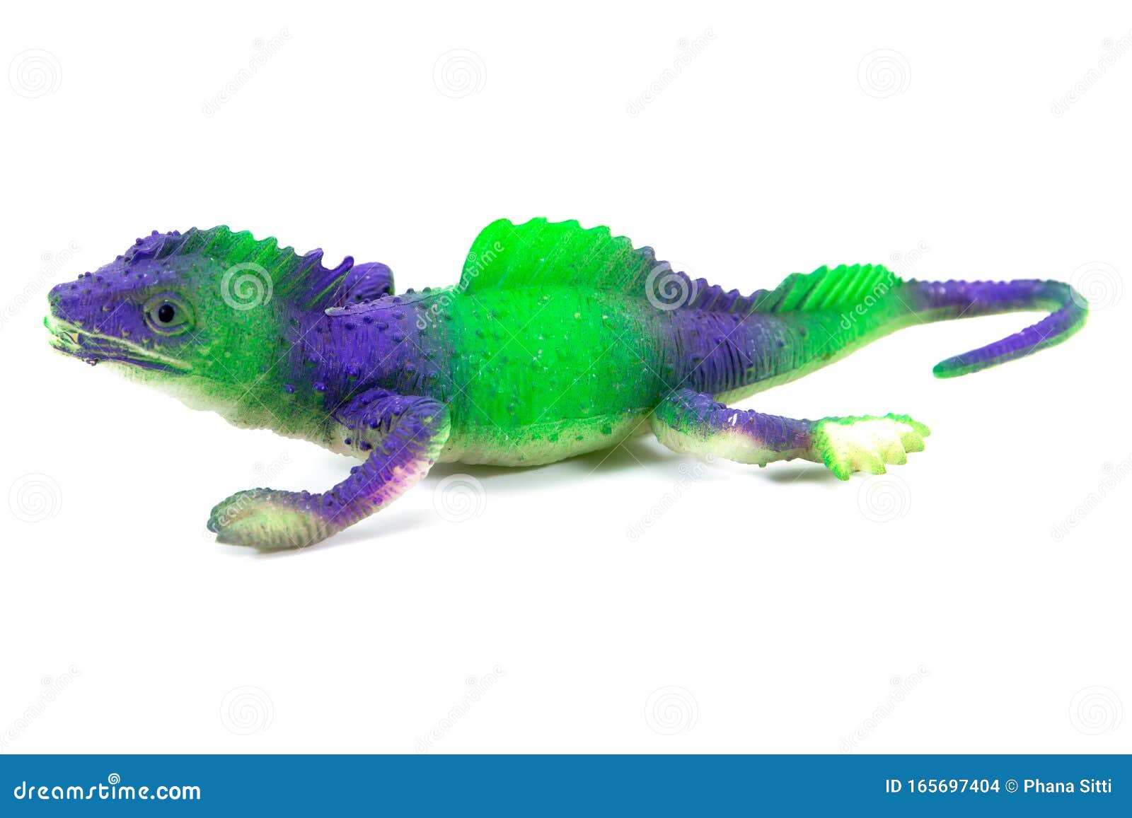 Iguana Rubber Toy Isolated on White Background Stock Photo Image of