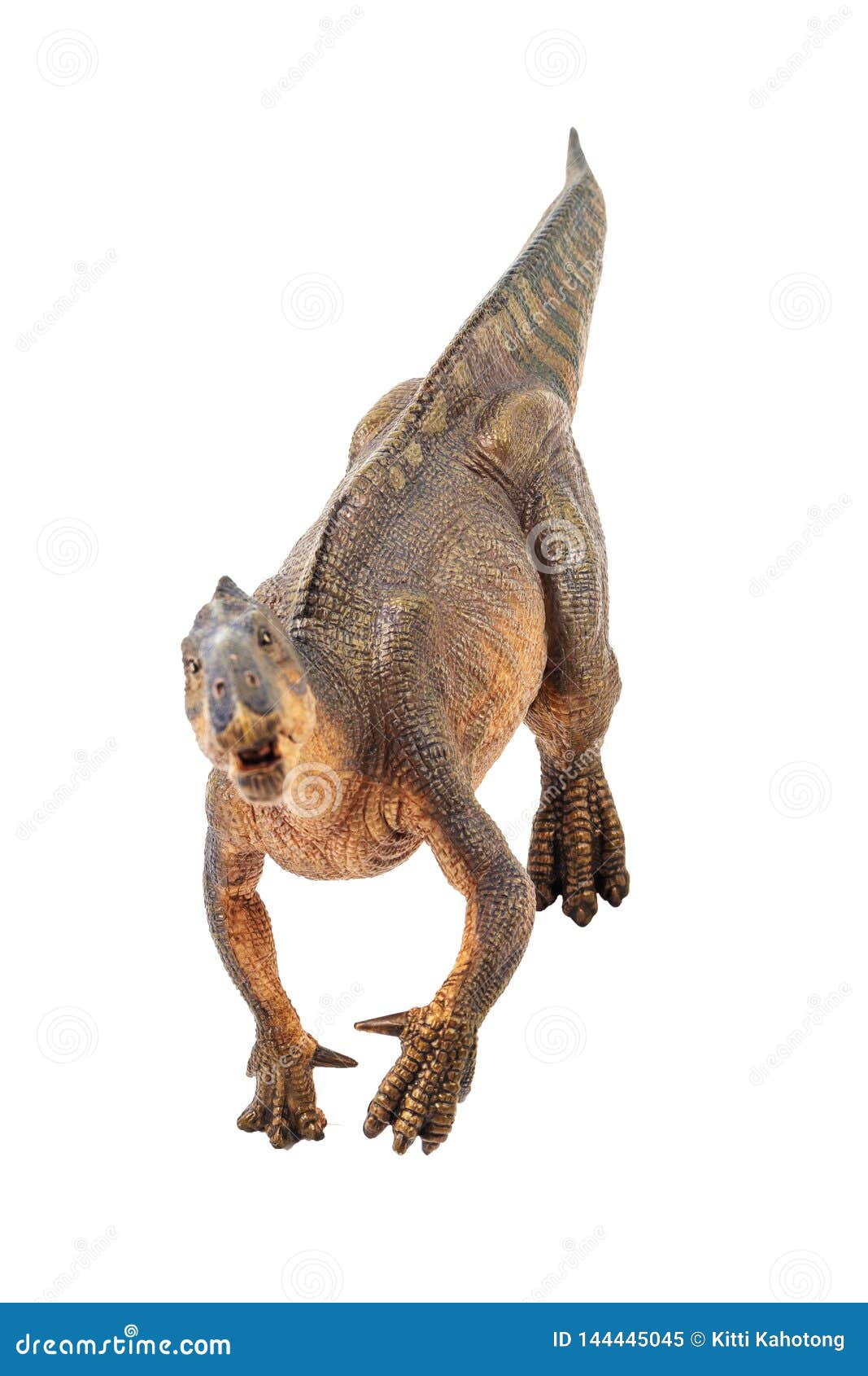 Iguanodon, Dinosaurier auf weißem Hintergrund