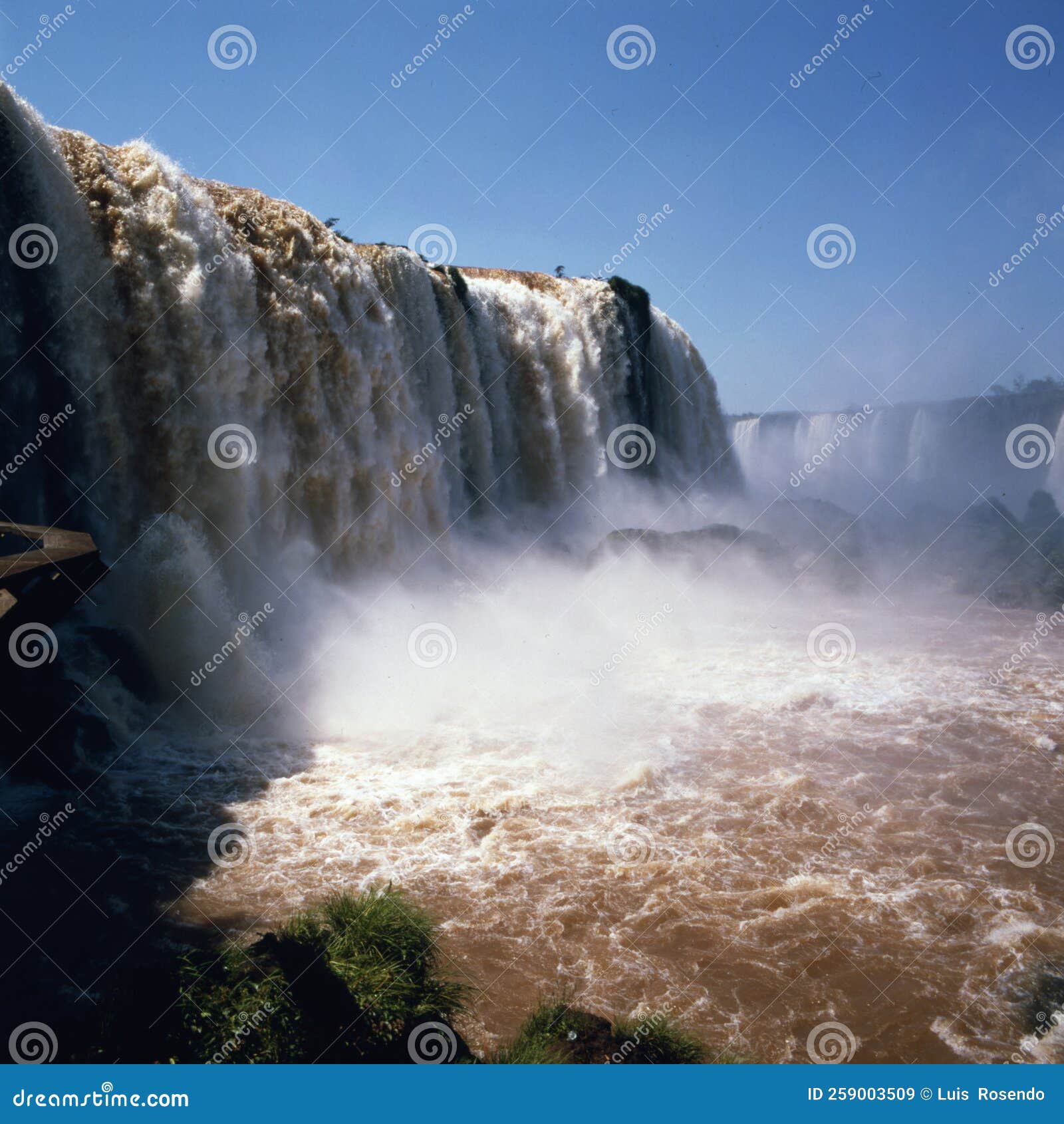 My Image 23