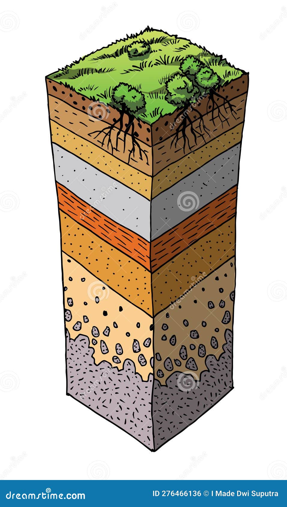i Draw a labeled diagram to show a well developed soil profile  Tutorke