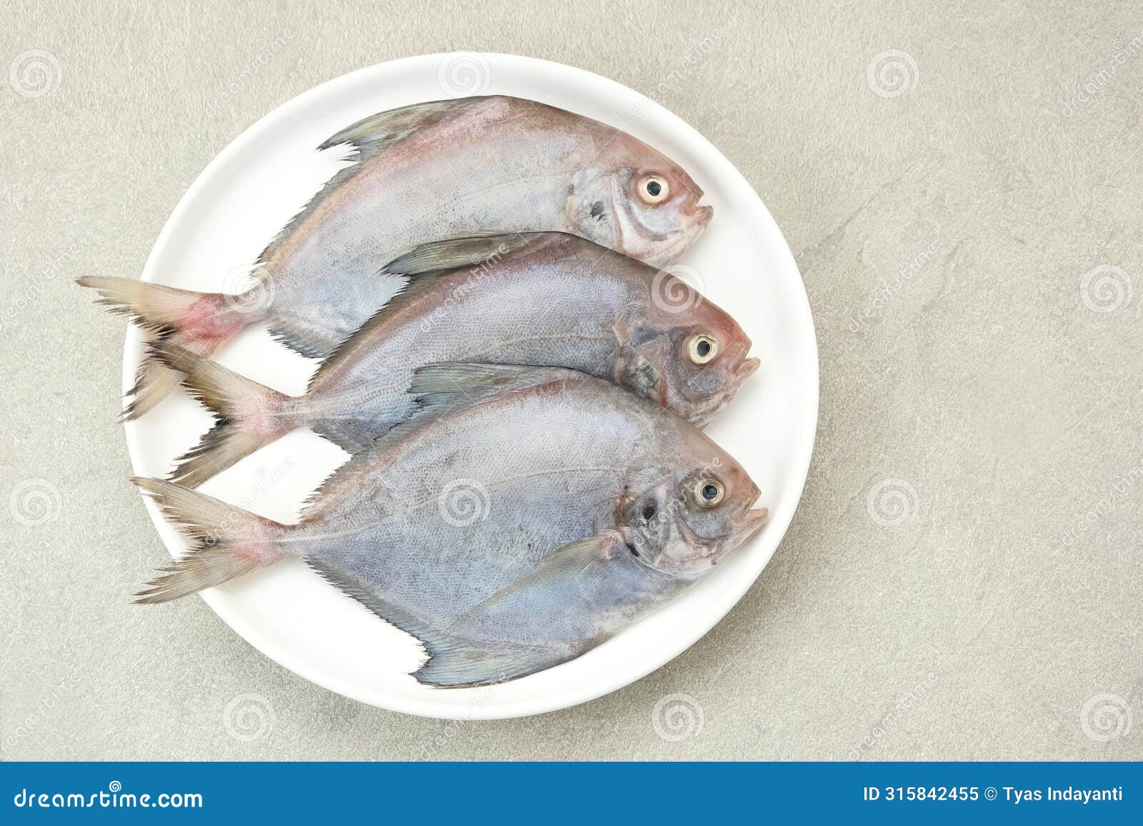 ikan dorang or ikan bawal putih