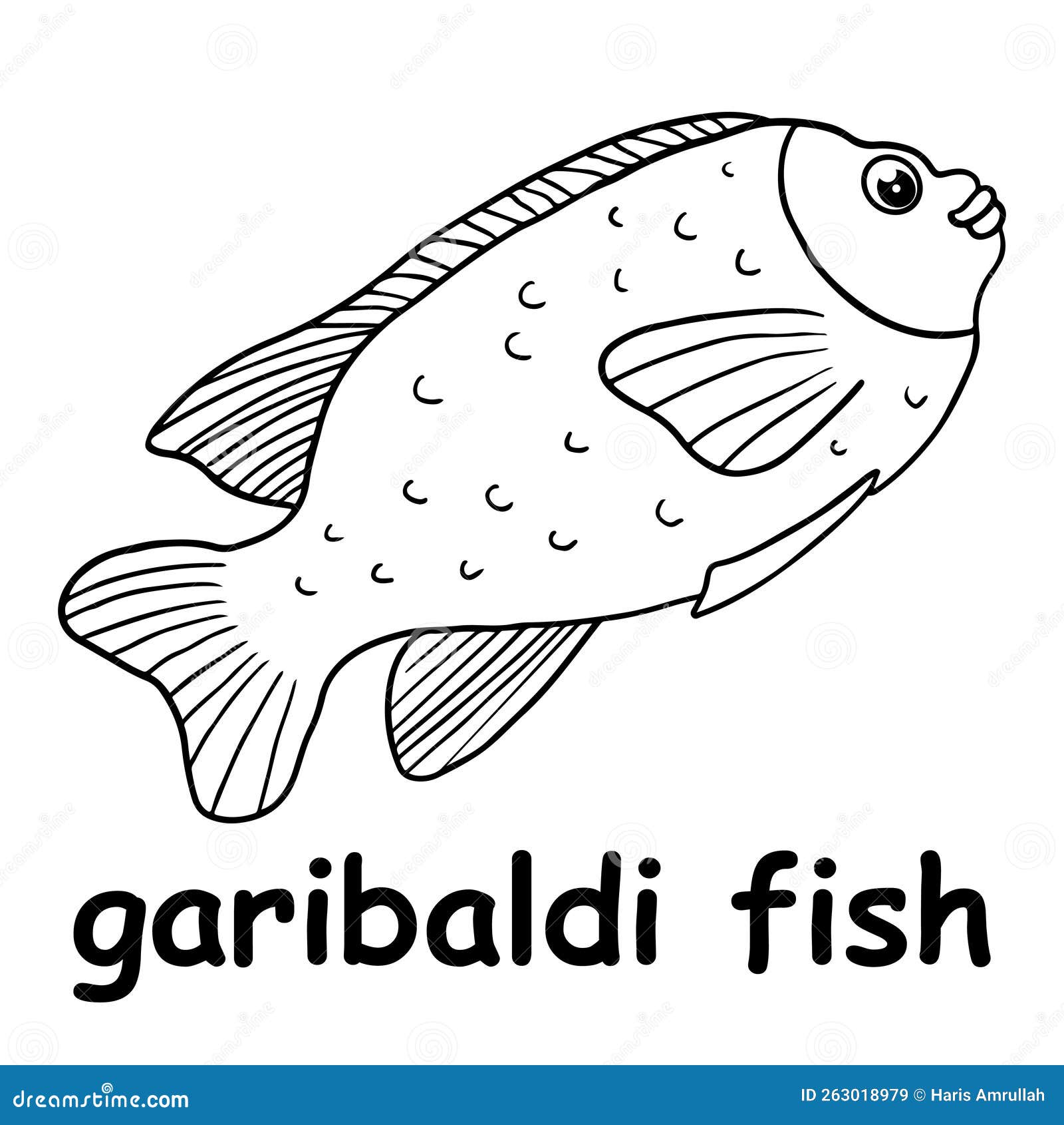 Kids Line Illustration Coloring Garibaldi Fish. Animal Outline Cartoon