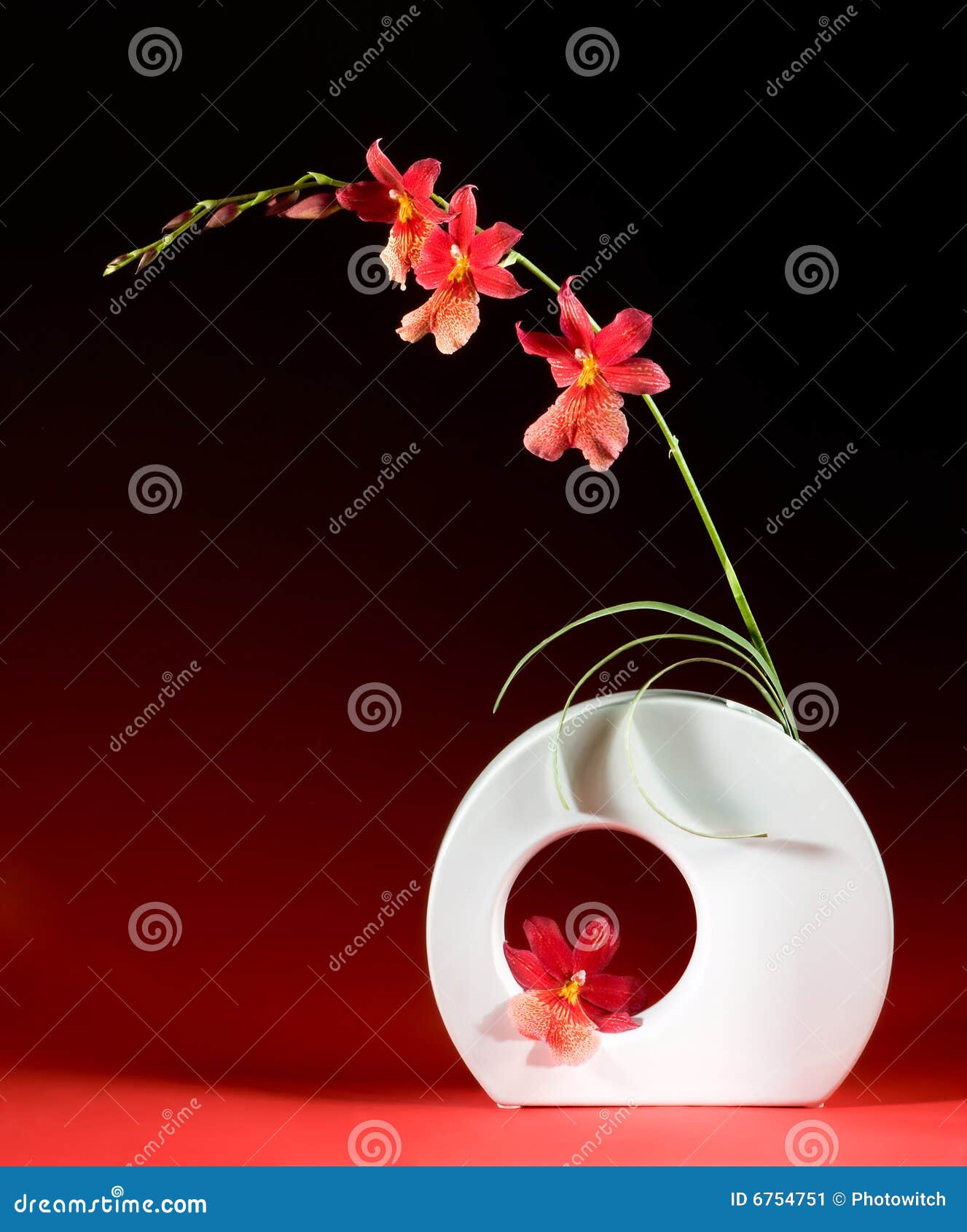 ikebana 