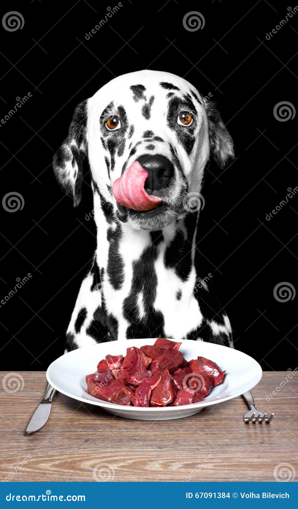 Il cane ha fame fotografia stock. Immagine di arrosti 67091384