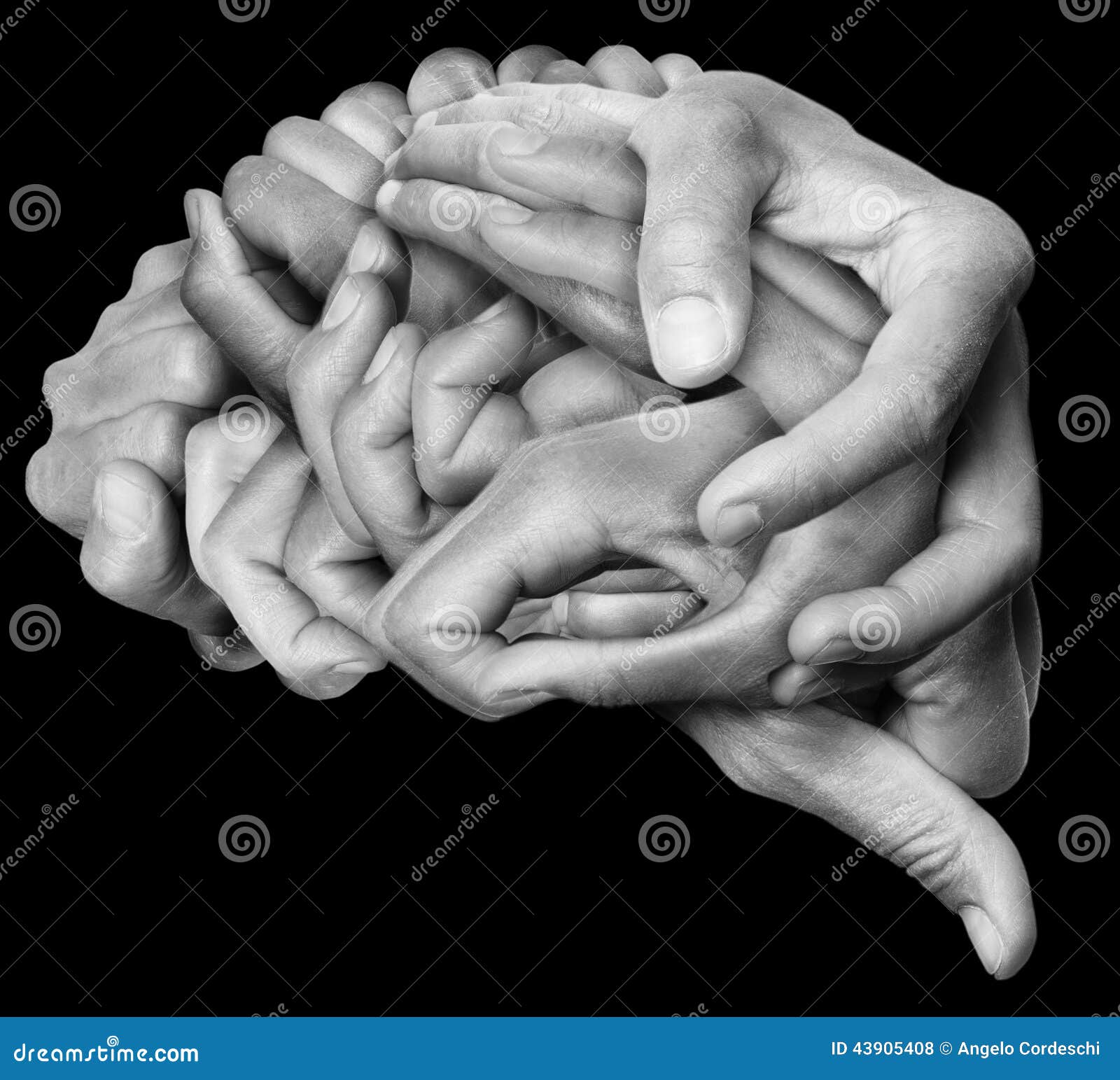 Il cervello umano ha fatto il ‹del â€ del ‹del â€ con le mani