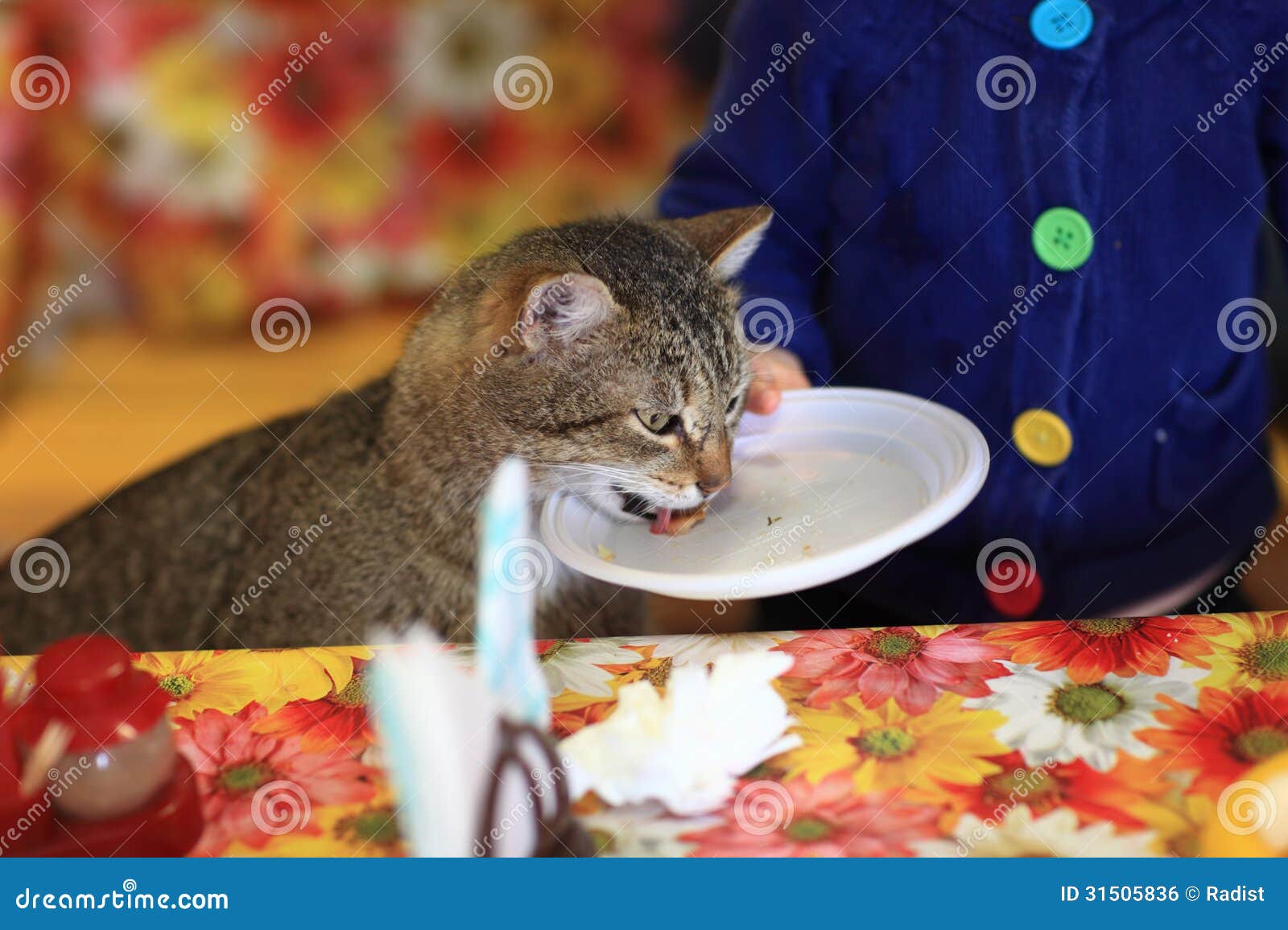 Il Gatto E Il Topo Giocano Gatto E Topo Disegni Vettoriali Senza