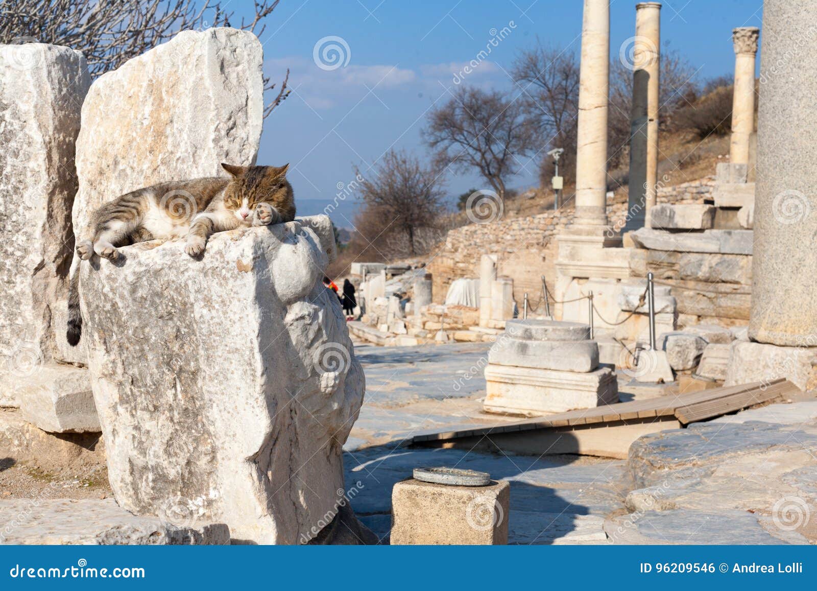 Il Gatto Sulle Colonne E Sull Altare Di Pietra Romani Rovina La Stanza Nell Arco Di Ephesus Fotografia Stock Immagine Di Forsaken Litorale