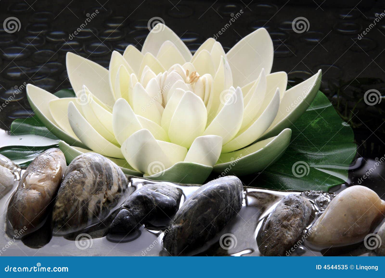 Ninfee Artificiali Galleggianti Per Laghetto - 5 Pezzi Fiori Di Loto In Schiuma EVA Bianchi - Foto 8