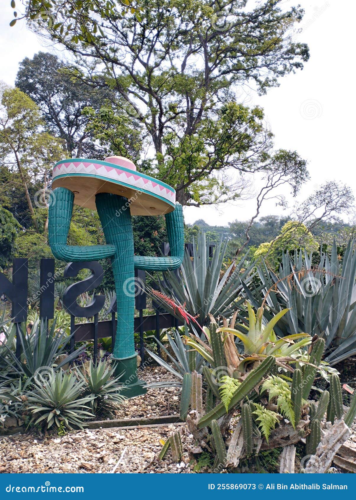 Il N'est Qu'une Statue De Cactus à La Décoration Mexicaine Image stock -  Image du chapeau, carte: 255869073