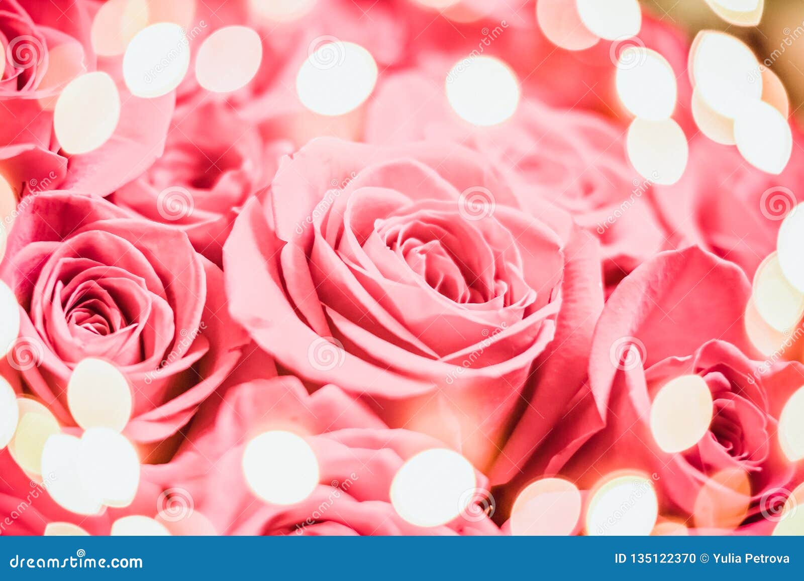 Il Rosa Elegante Festivo E Aumentato Con Le Luci Del Bokeh Cartolina D Auguri Di Buon Compleanno Regalo Per Il San Valentino Gio Fotografia Stock Immagine Di Pastello Fiore