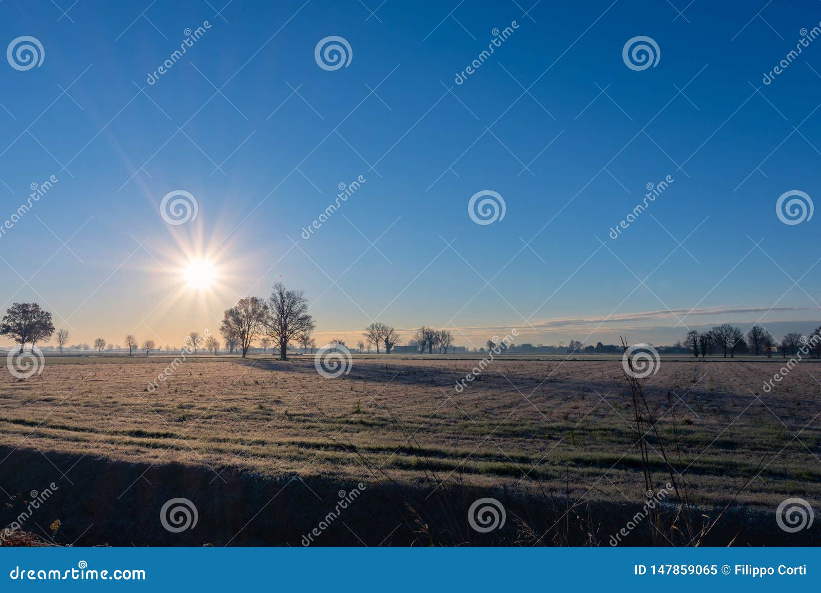 il sole riscalda il terreno ghiacciato.