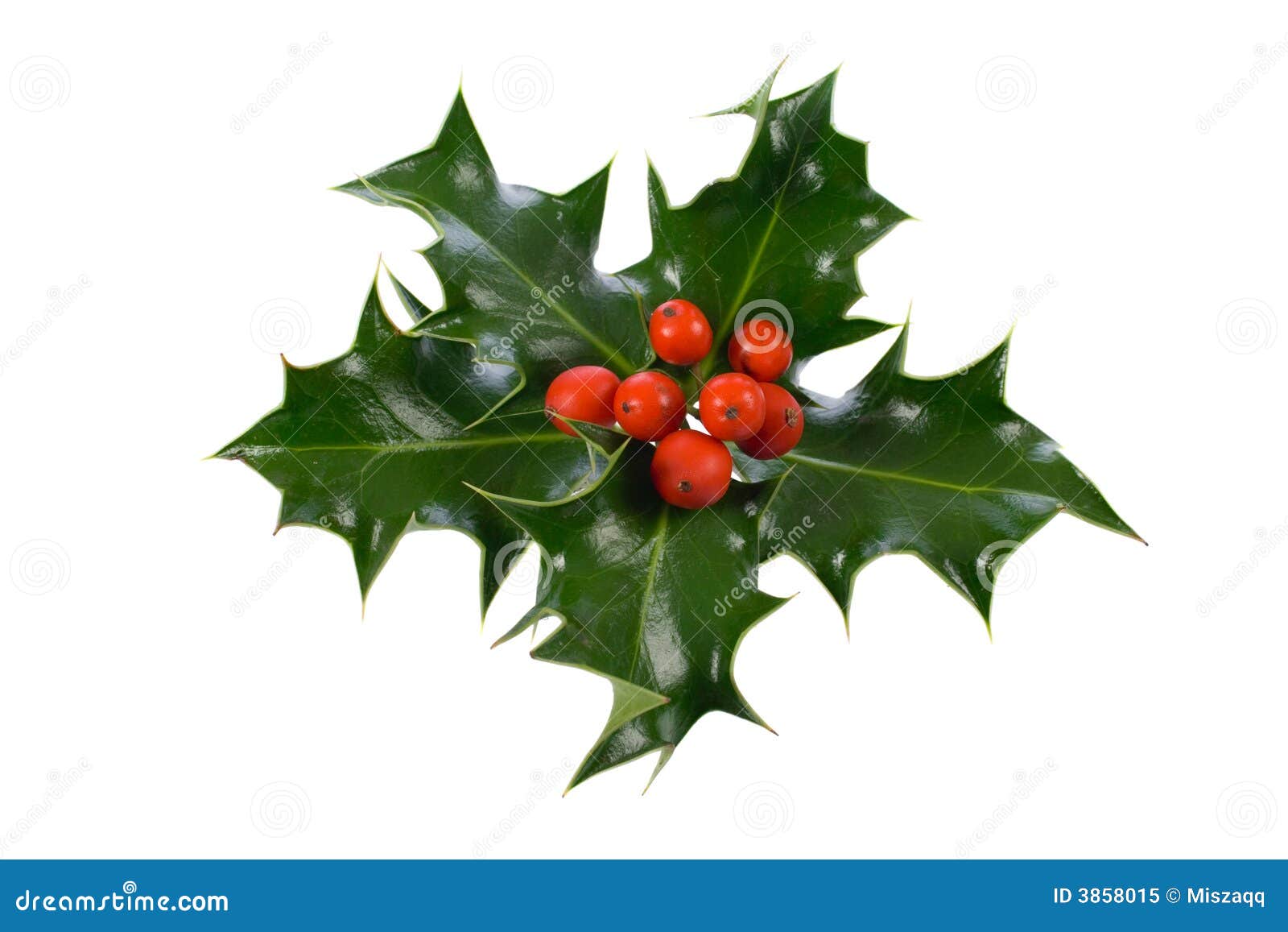 Deco Noel Houx / Pochoir Noel Couronne de Houx Joyeux Noel