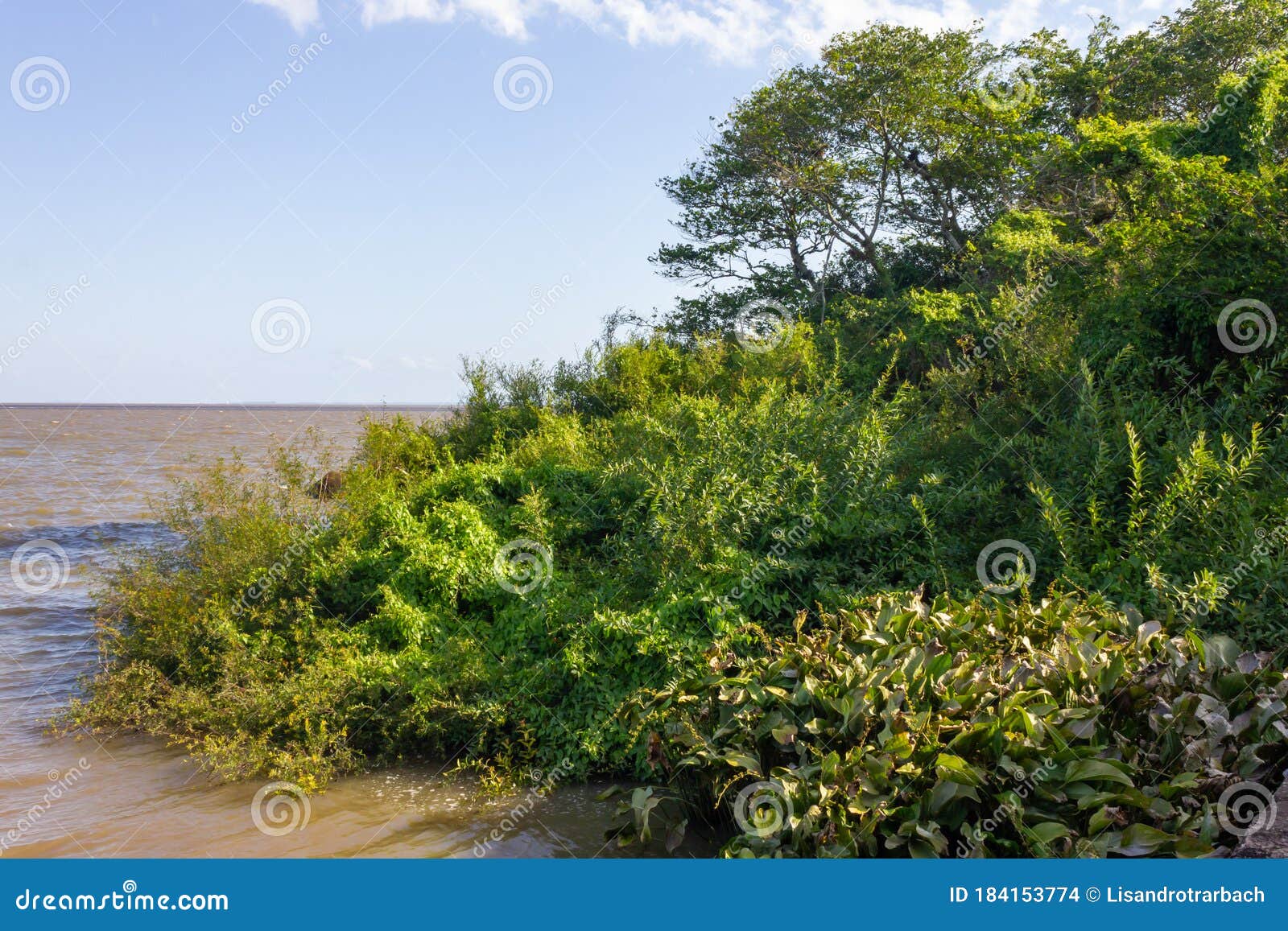 ilha das pedras brancas island and guaiba lake