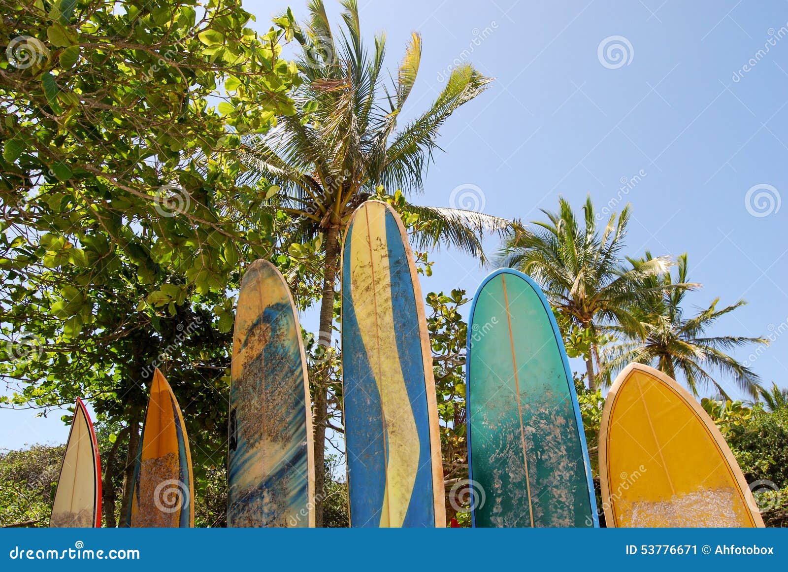 ilha grande: surfboards at beach praia lopes mendes, rio de janeiro state, brazil