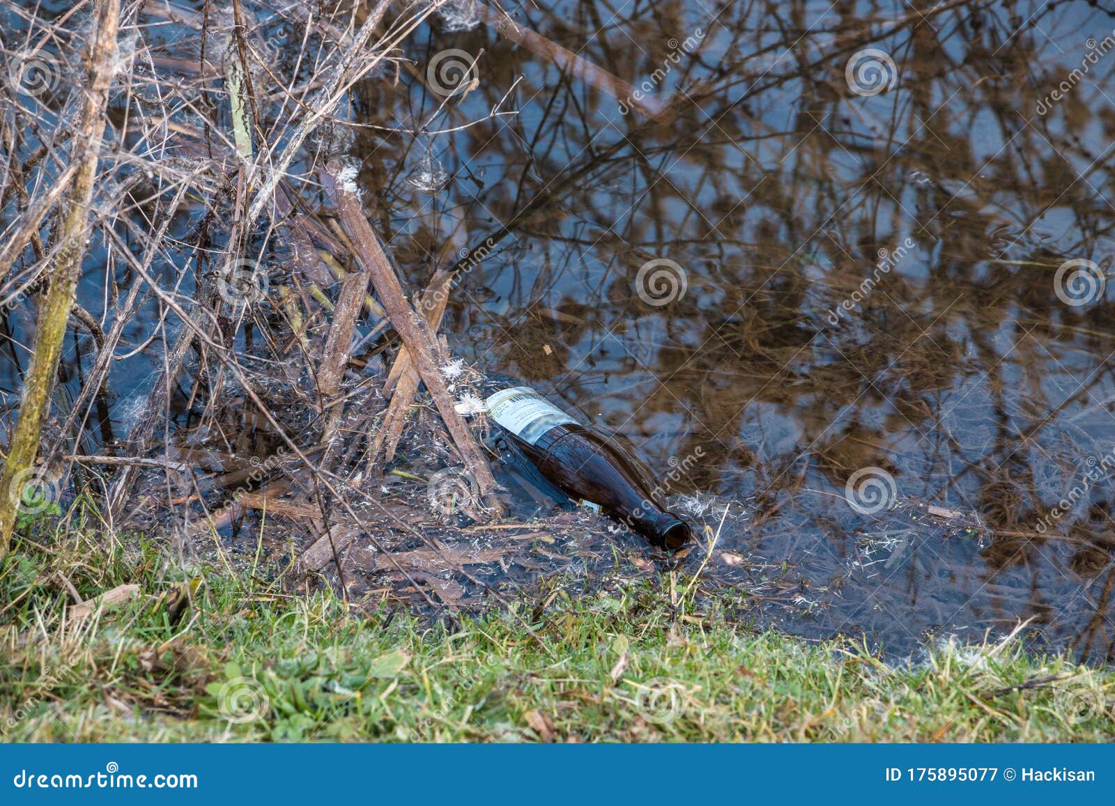 illegal and disrespectful waste disposal of a beer bottle made of brown glass