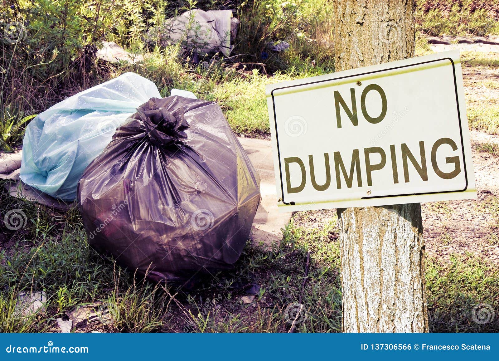 Illegal Dumping In The Nature With No Dumping Sign Indicating In The throwing-garbage-on-road
