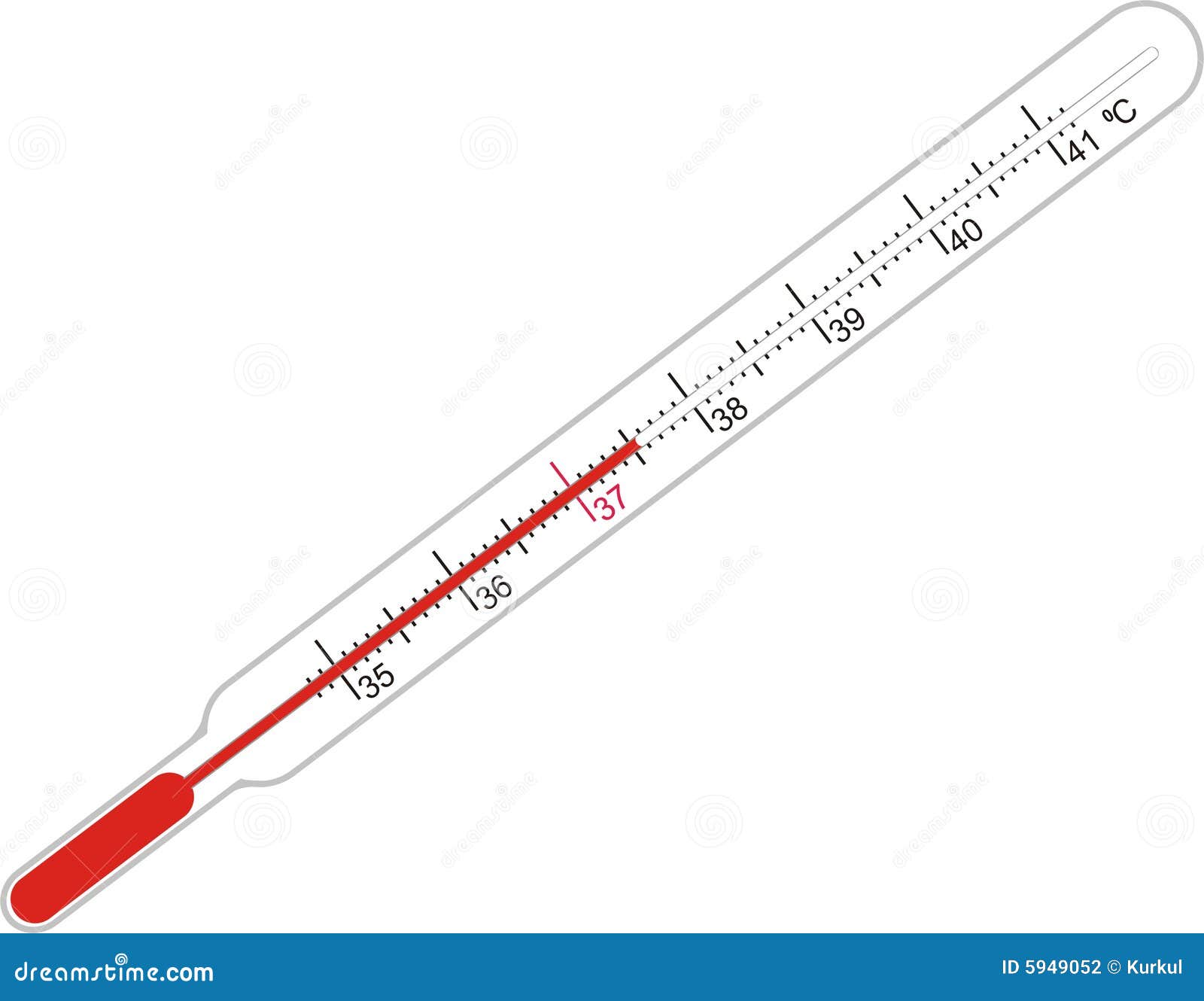 labeled diagram of a thermometer