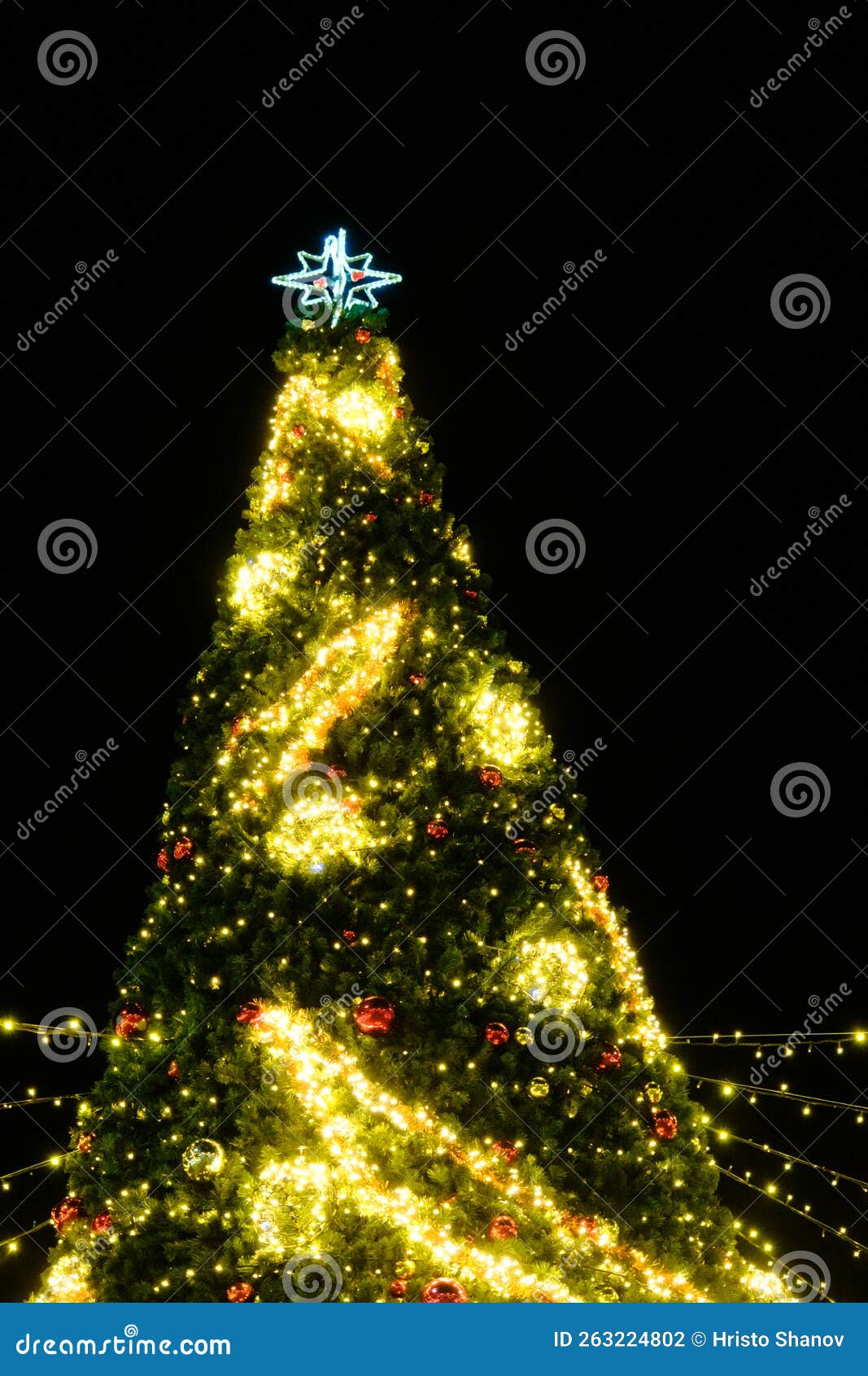 Illuminated Christmas Tree at Night Outside, Christmas Decoration Stock