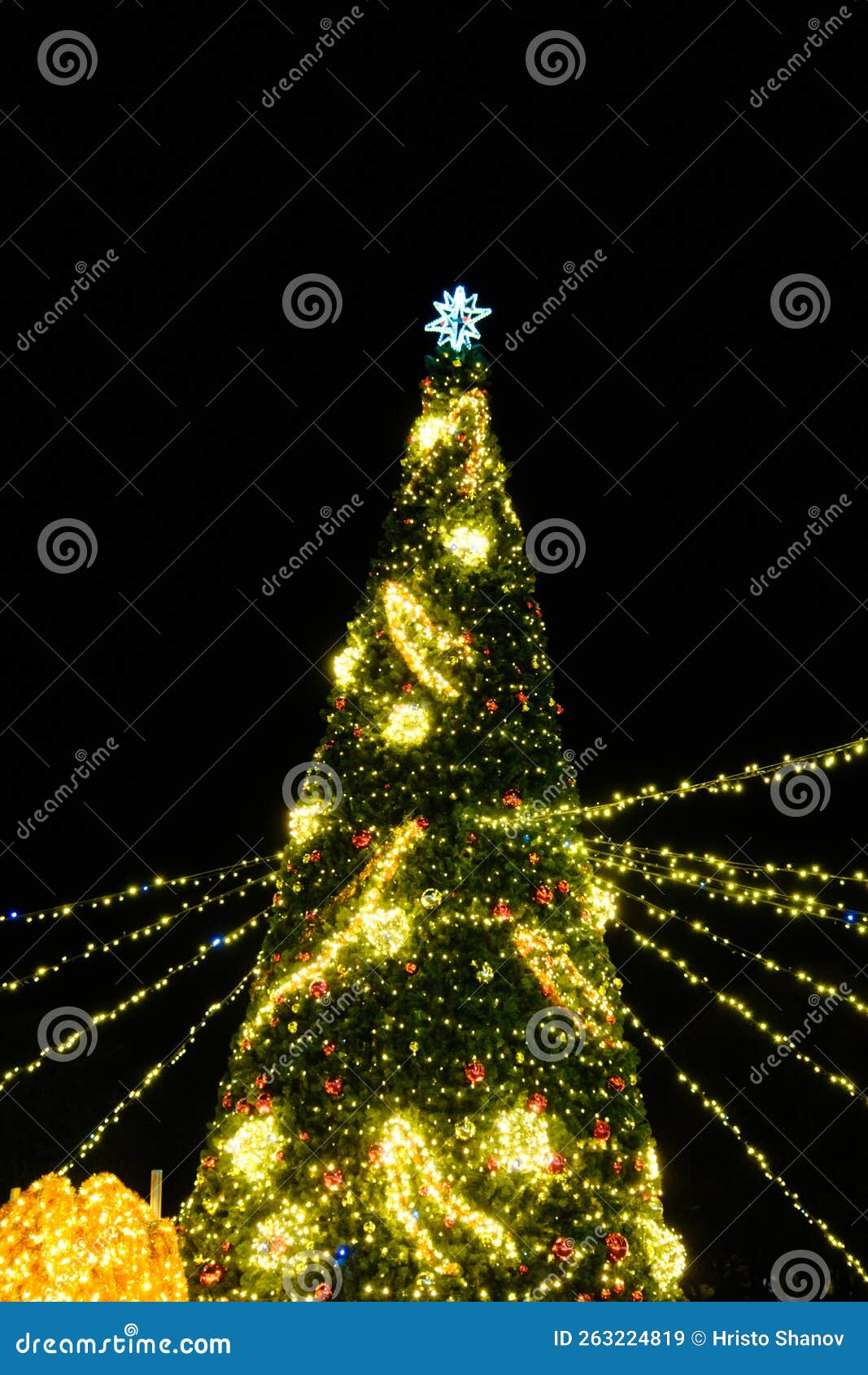 Illuminated Christmas Tree at Night Outside, Christmas Decoration Stock Image Image of branch