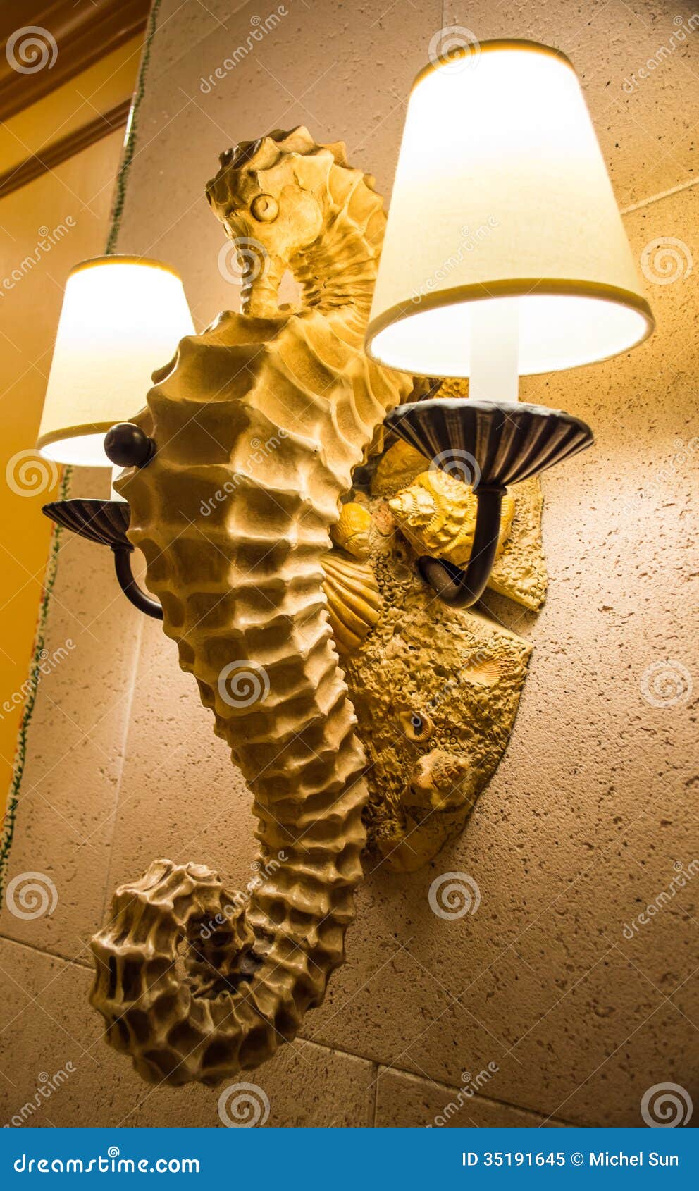Illuminated Seahorse Wall Lamp Stock Image Image of seahorse, view