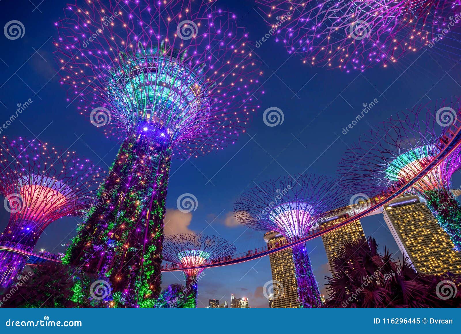 illuminated supertrees in gardens by the bay at night, singapore